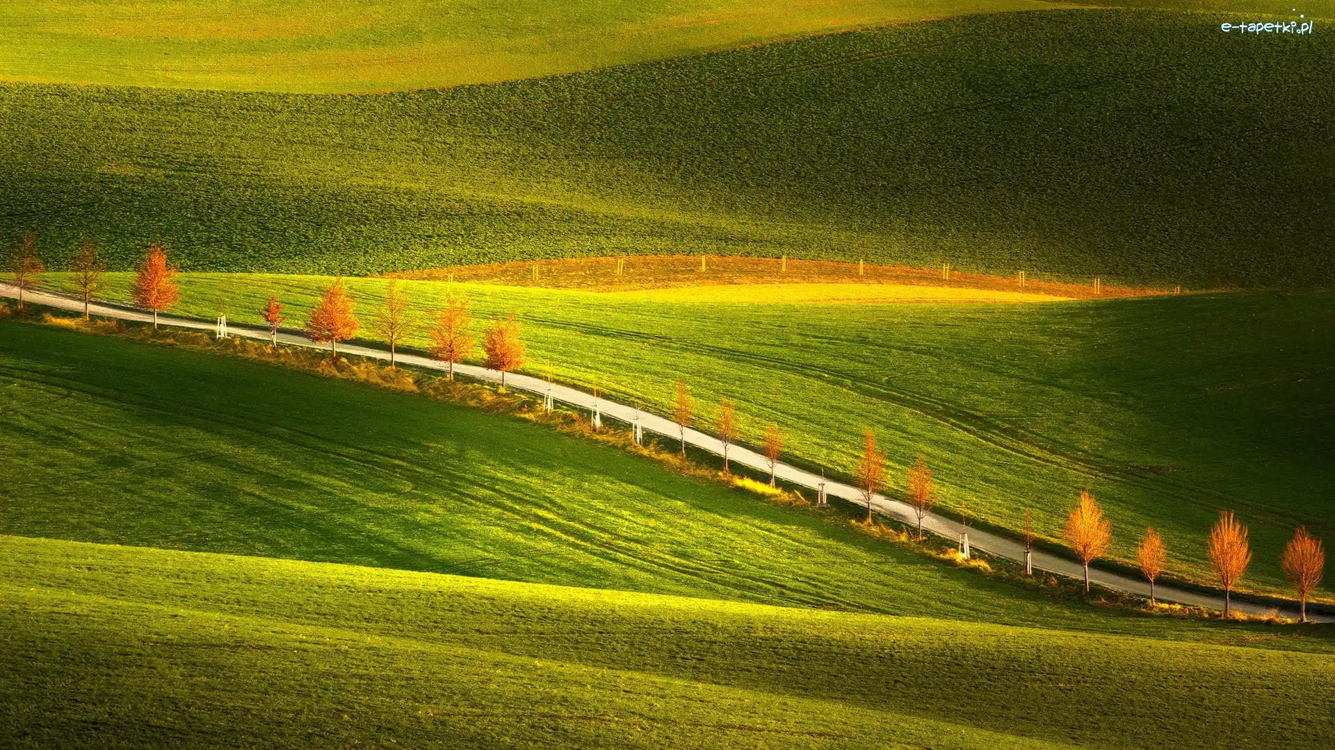 Morawy, Wzgórza, Pola, Czechy