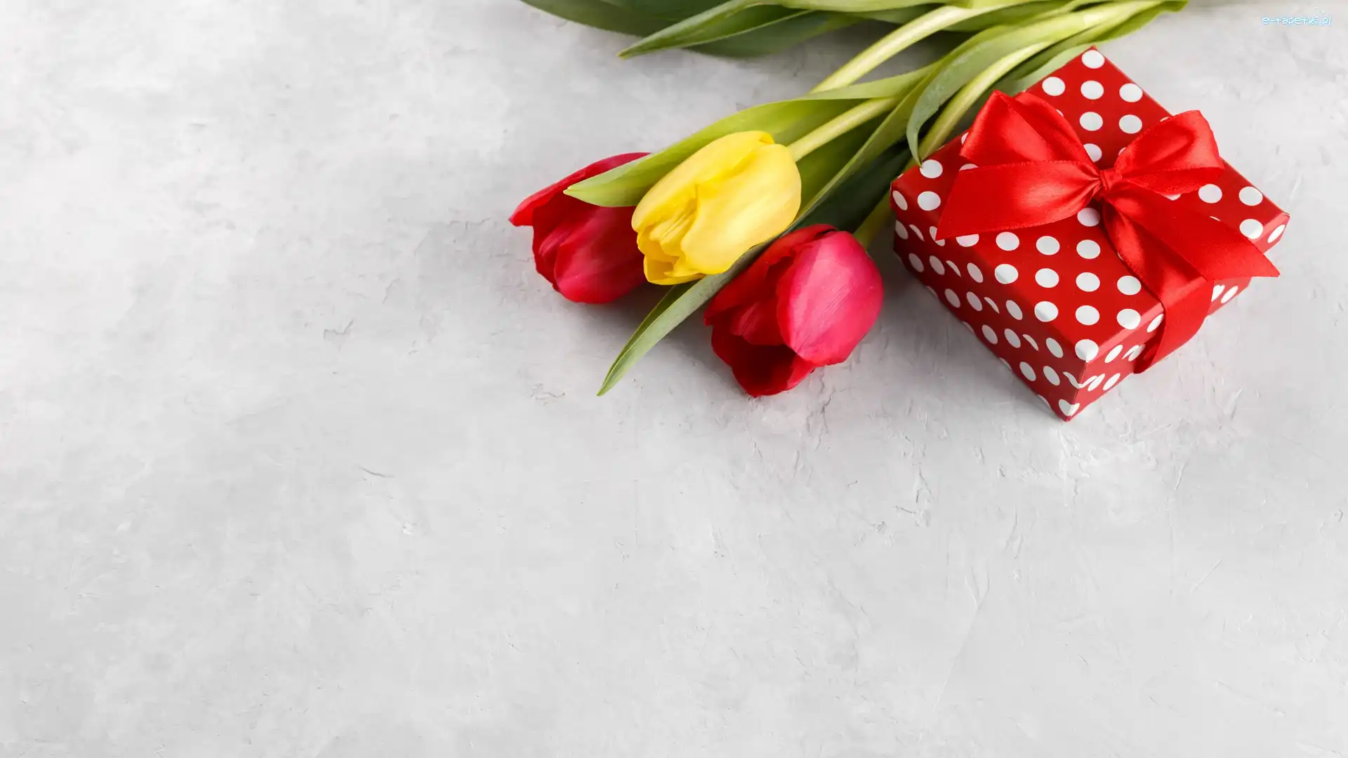Prezent, Tulipany, Trzy