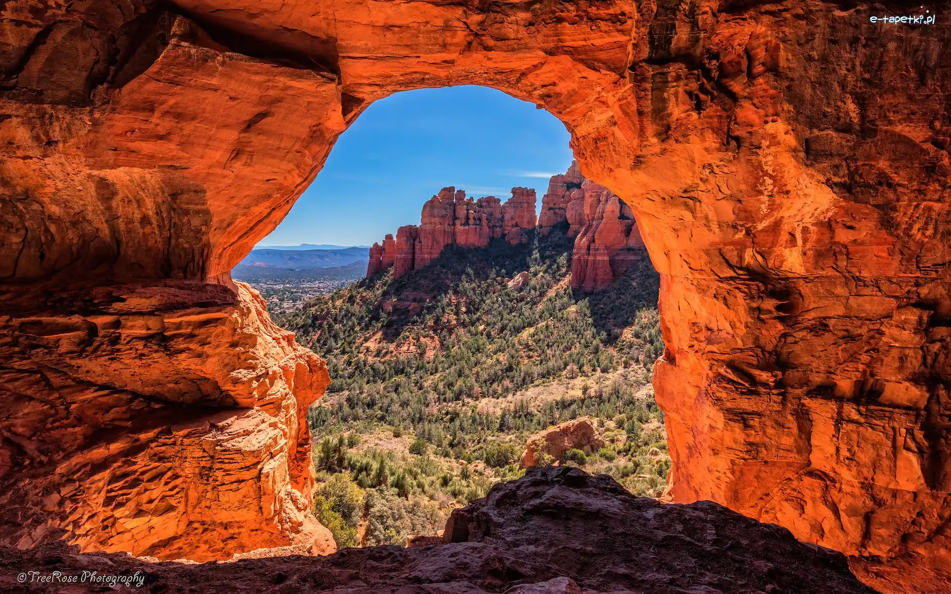 Formacja skalna, Sedona, Czerwone, Arizona, Stany Zjednoczone, Krzewy, Skały