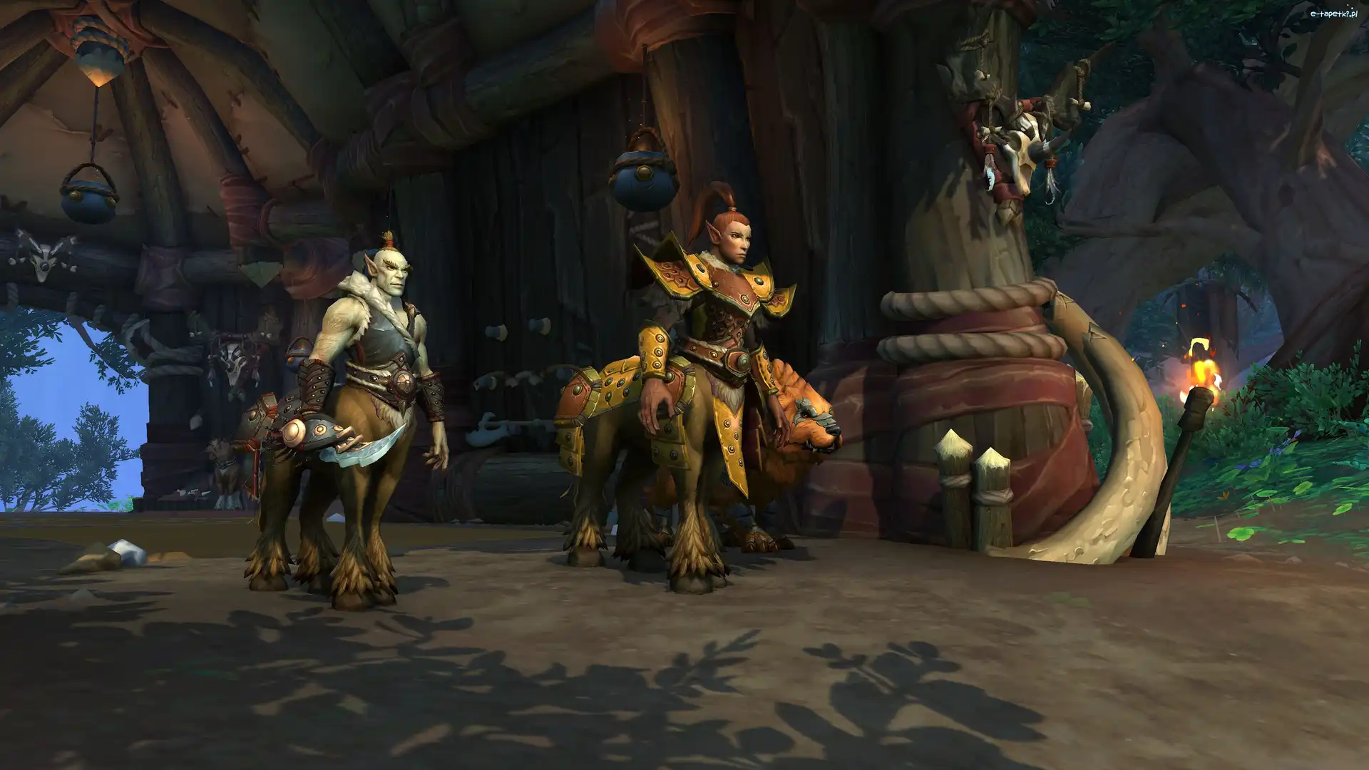 World of Warcraft Dragonflight, Gra, Postacie