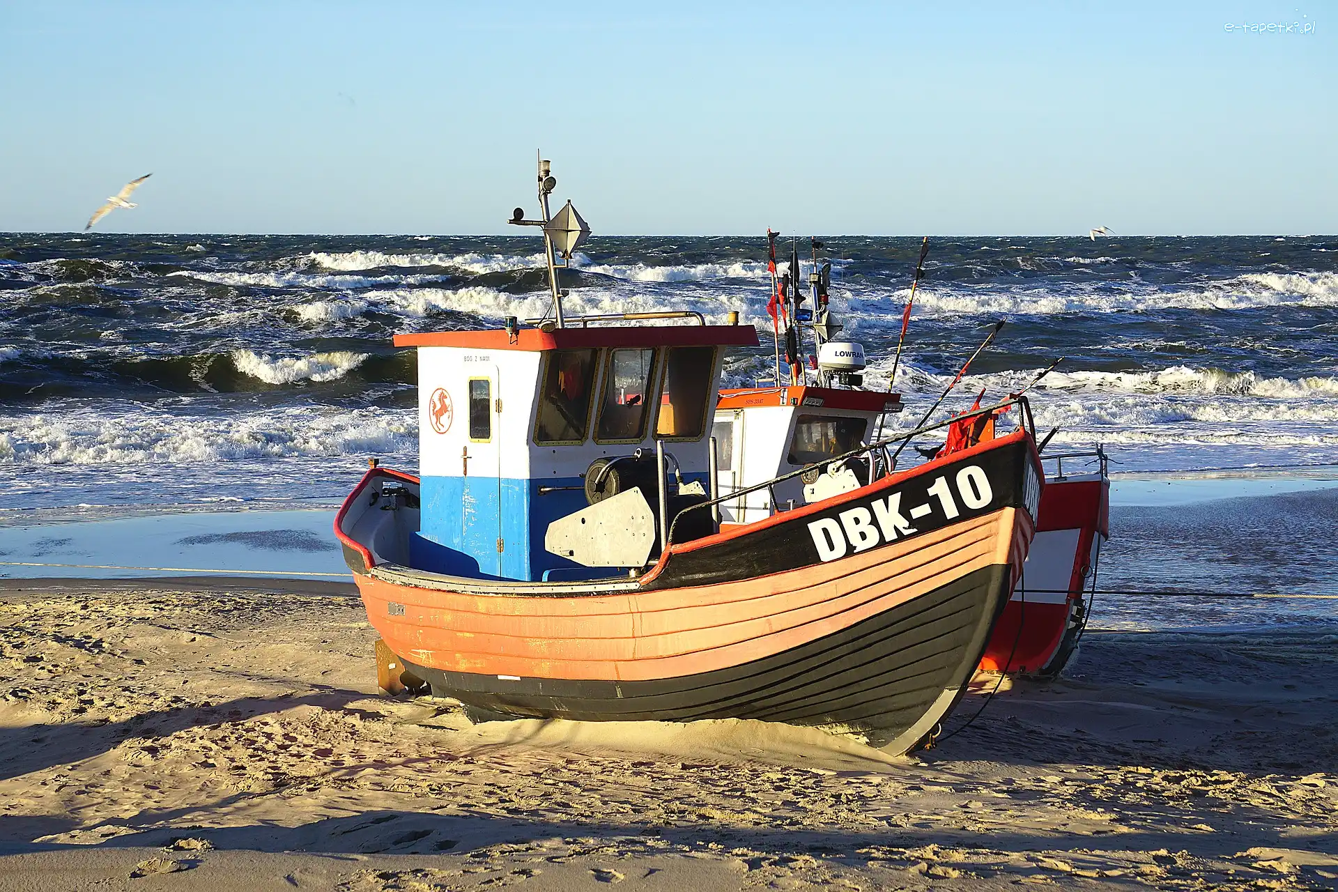 Fale, Plaża, Wybrzeże, Mewa, Piasek, Statek, Kuter rybacki, Morze