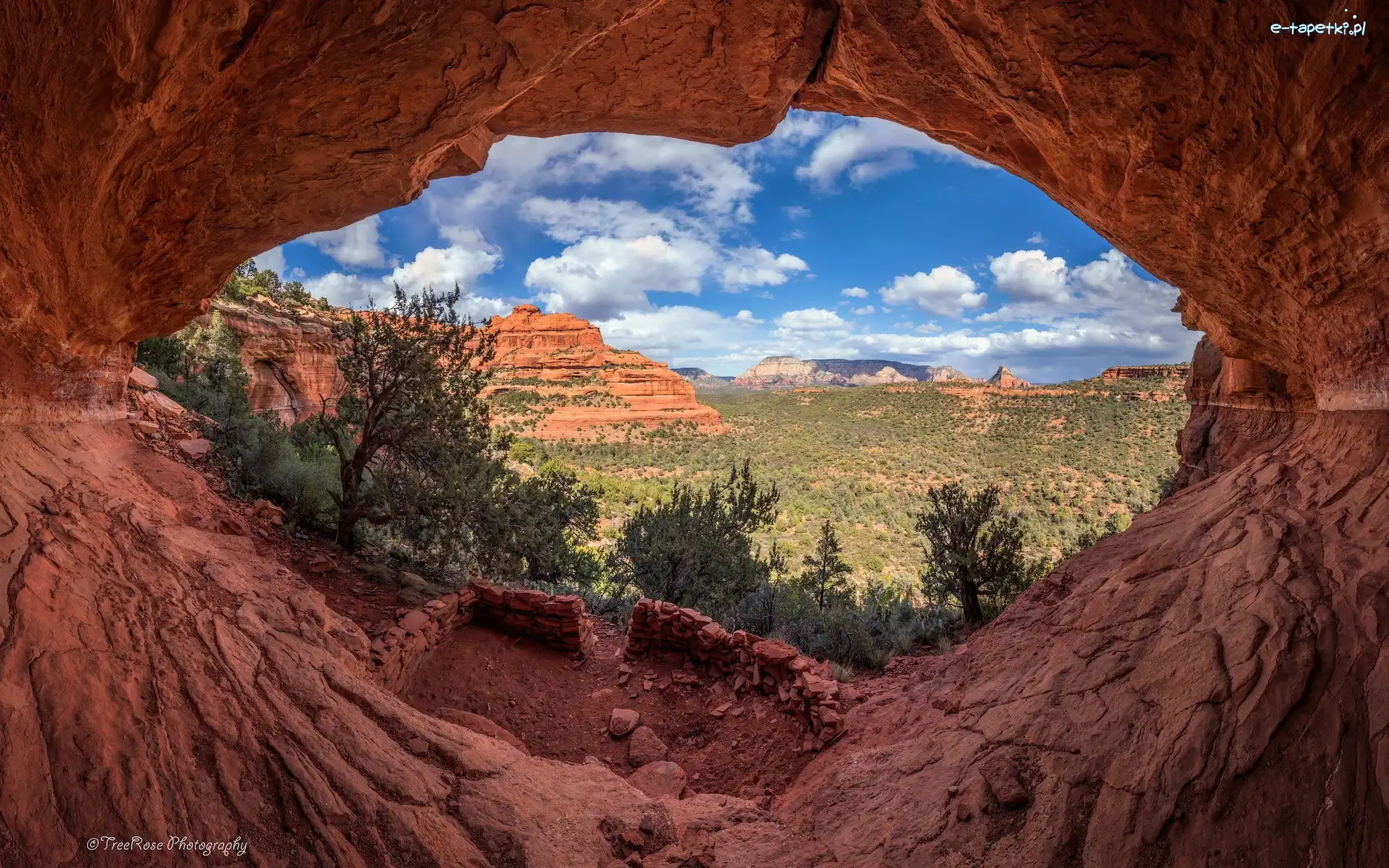 Skały, Sedona, Czerwone, Drzewa, Arizona, Stany Zjednoczone