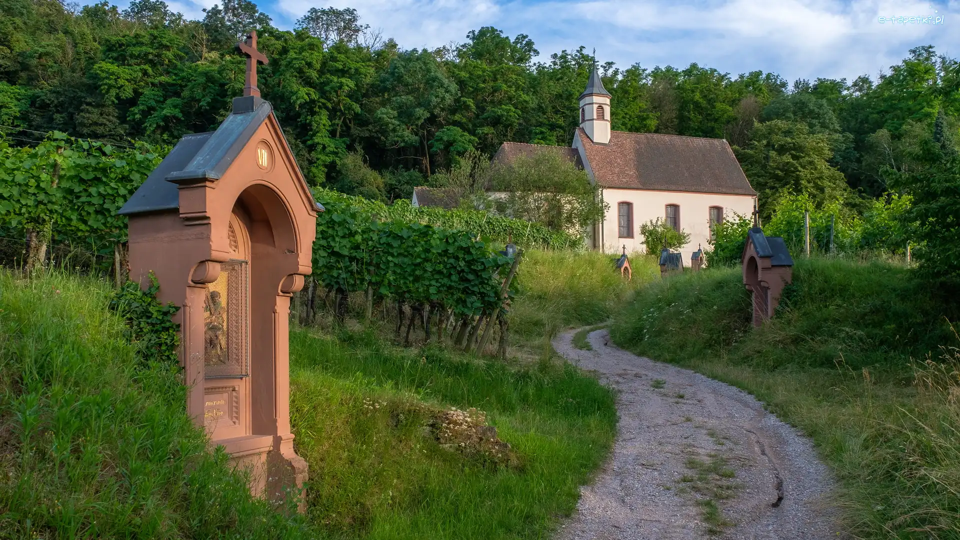 Niemcy, Stacje drogi krzyżowej, Droga, Sankt Pantaleon, Kościół, Vogtsburg im Kaiserstuhl, Winnice