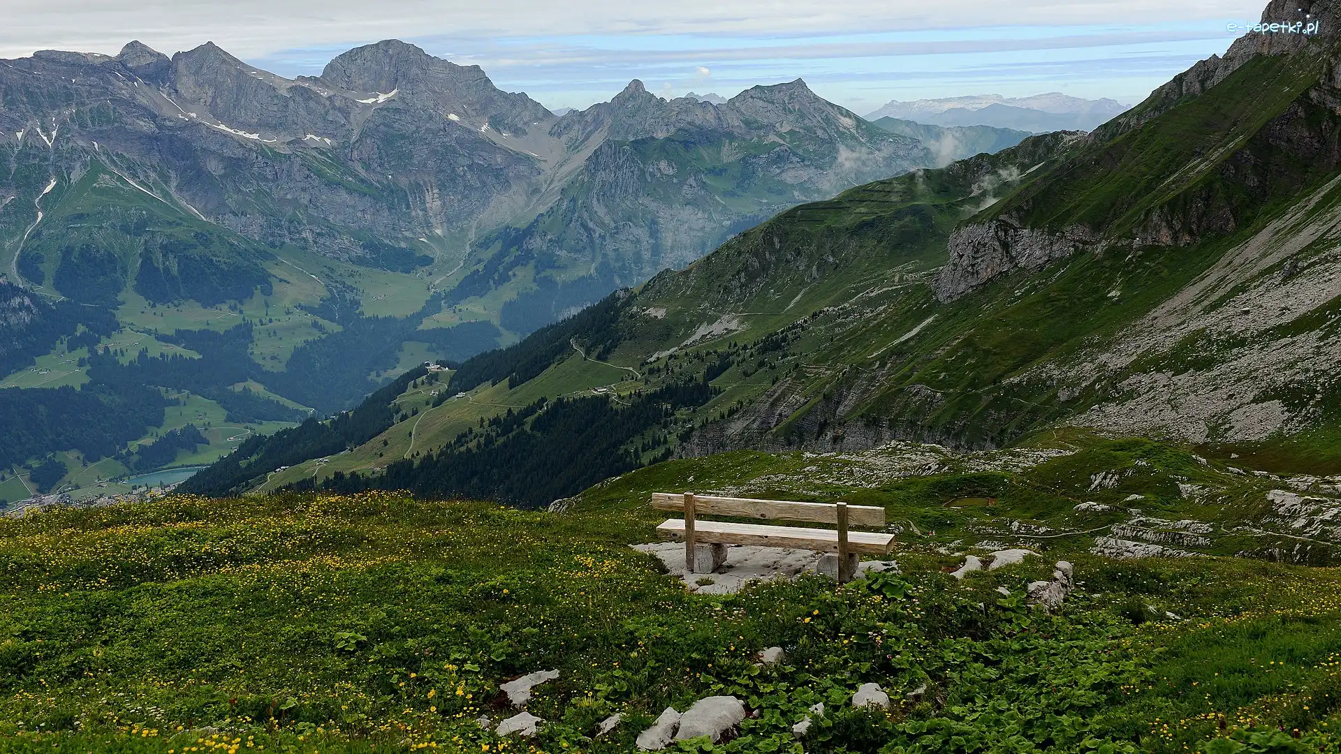 Żółte, Alpy, Szwajcaria, Engelberg, Łąka, Kwiaty, Ławka, Góry