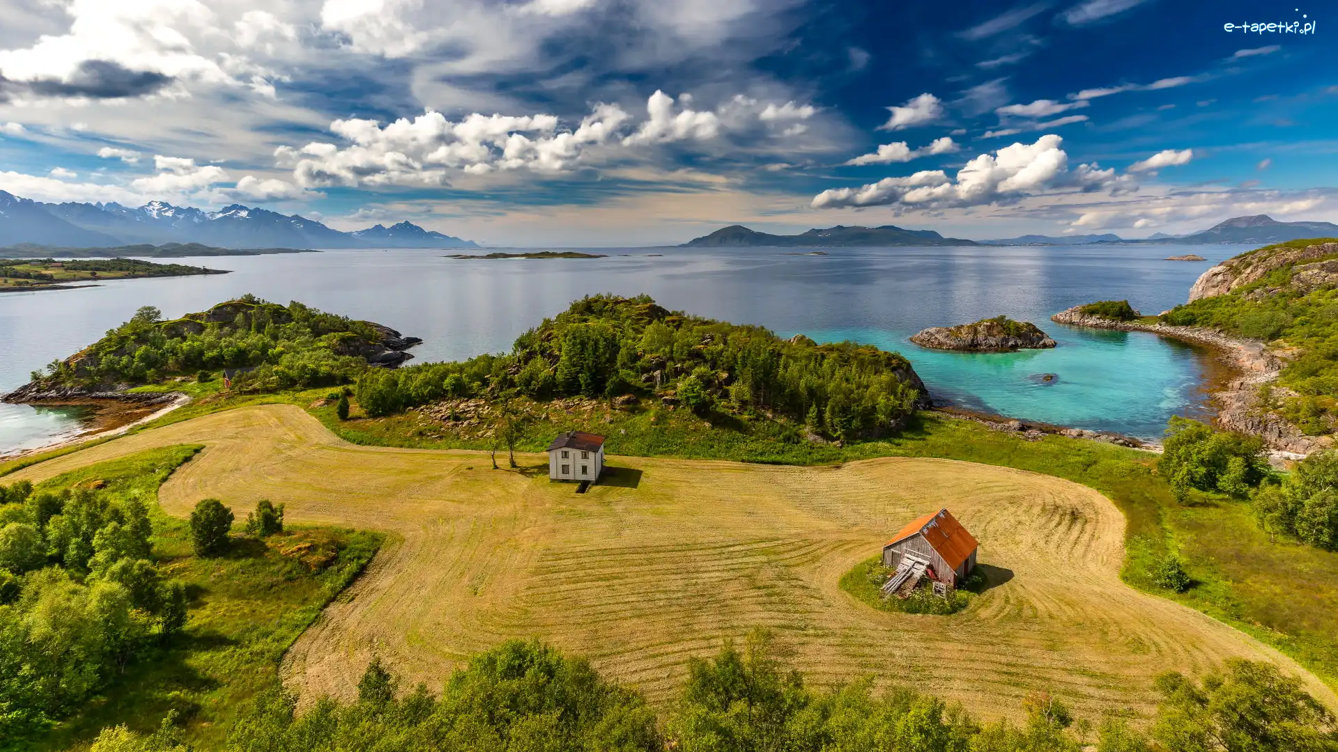 Wioska Hennes, Drzewa, Pole, Chmury, Morze Norweskie, Norwegia, Okręg Nordland, Dom, Vesteraalen