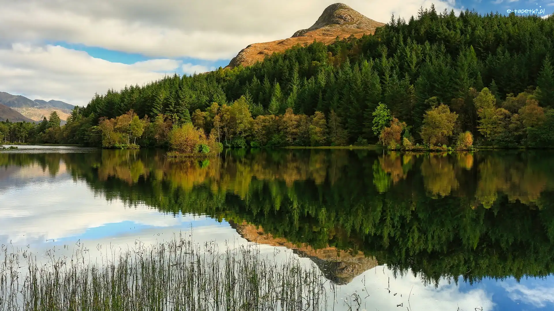 Szkocja, Las, Jezioro, Góra Pap of Glencoe, Góry, Odbicie, Trawa