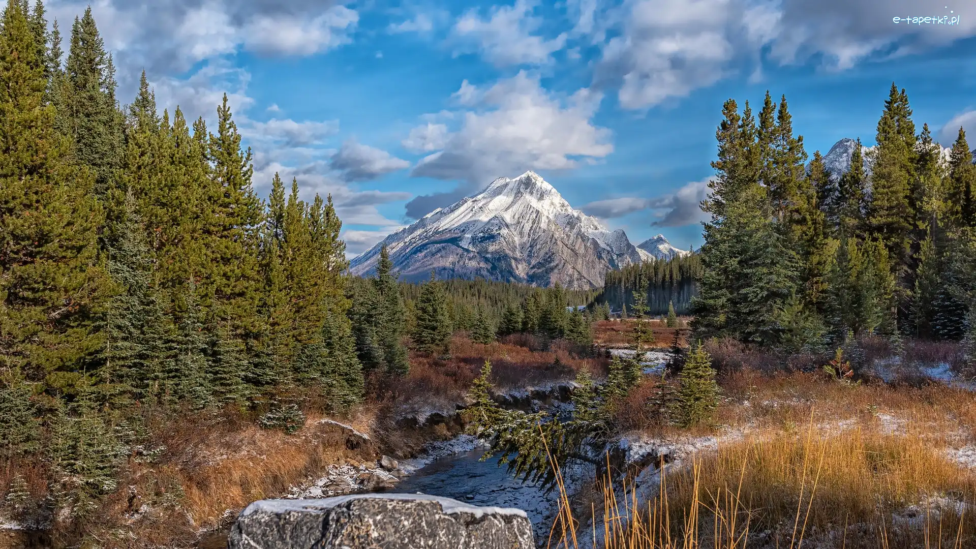 Trawa, Góry Skaliste, Obszar, Smuts Creek, Kanada, Drzewa, Sucha, Alberta, Skały, Rzeka, Kananaskis Country