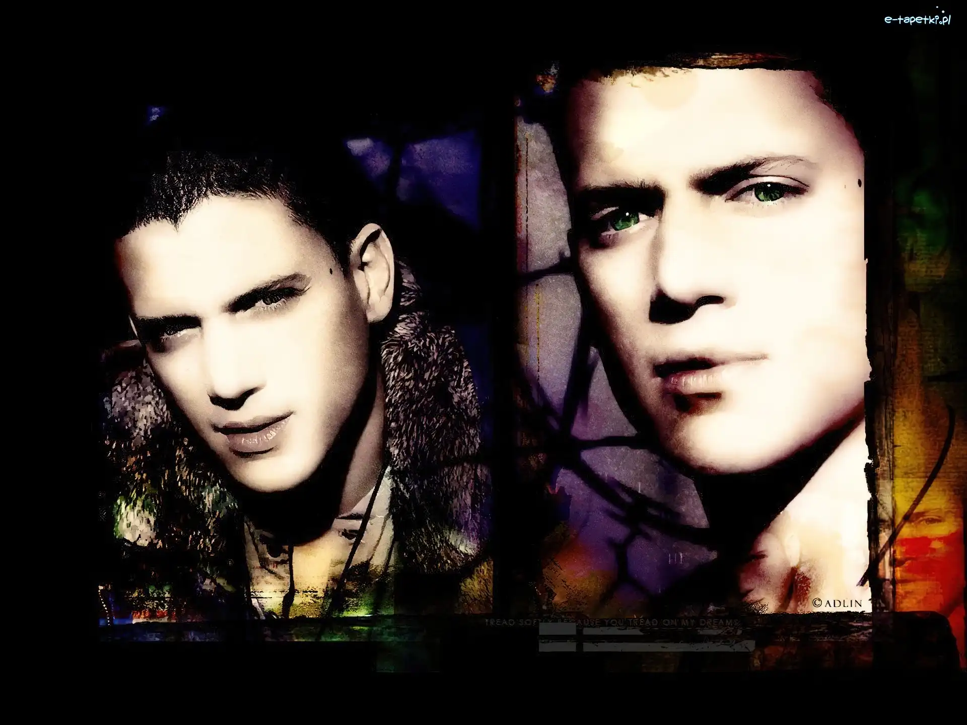 Wentworth Miller, Skazany na śmierć, Prison Break