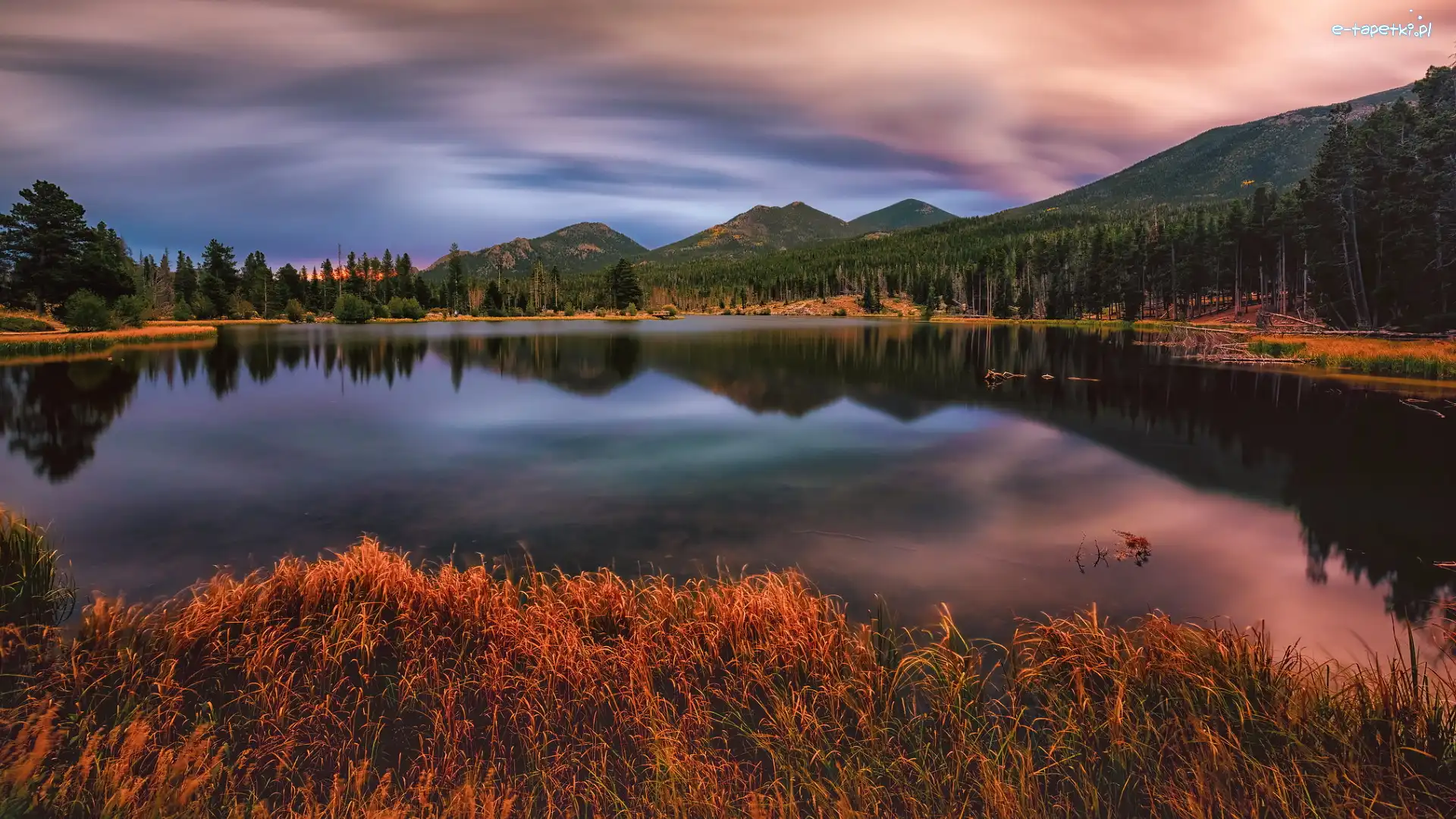 Stany Zjednoczone, Góry, Trawa, Sprague Lake, Jezioro, Kolorado, Park Narodowy Gór Skalistych
