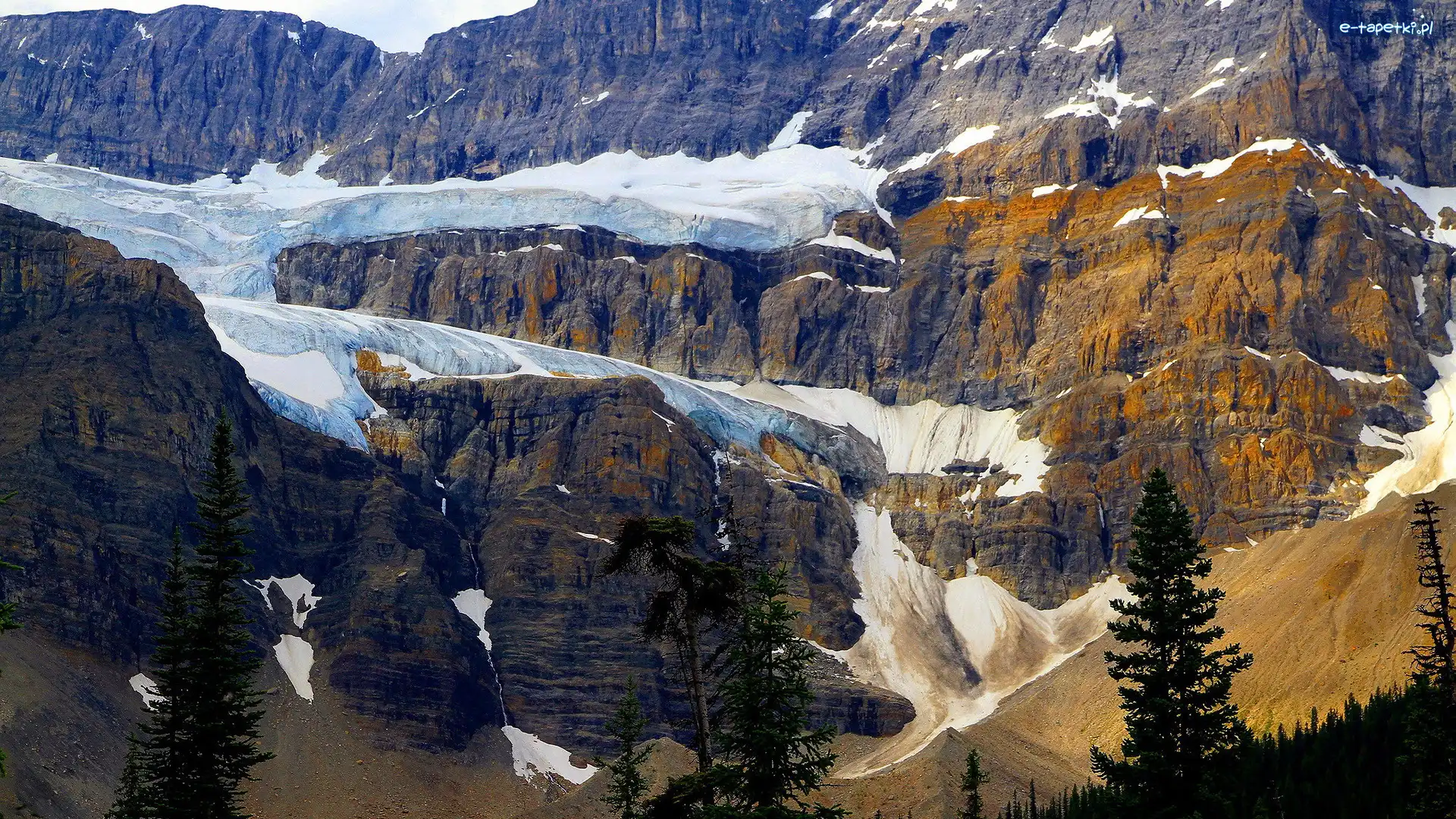 Drzewa, Crowfoot Mountain, Kanada, Alberta, Park Narodowy Banff, Lodowiec, Crowfoot Glacier, Góry