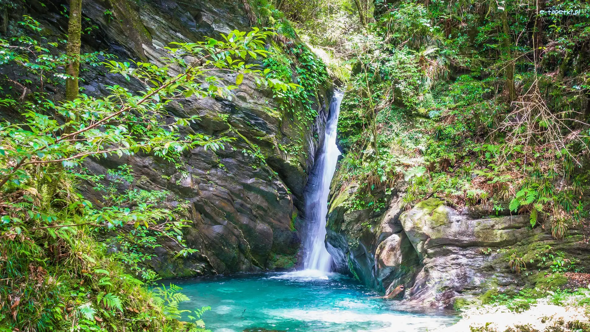 Japonia, Mitaru Gongen Waterfall, Rzeka, Wodospad, Skały, Prefektura Kochi, Rośliny