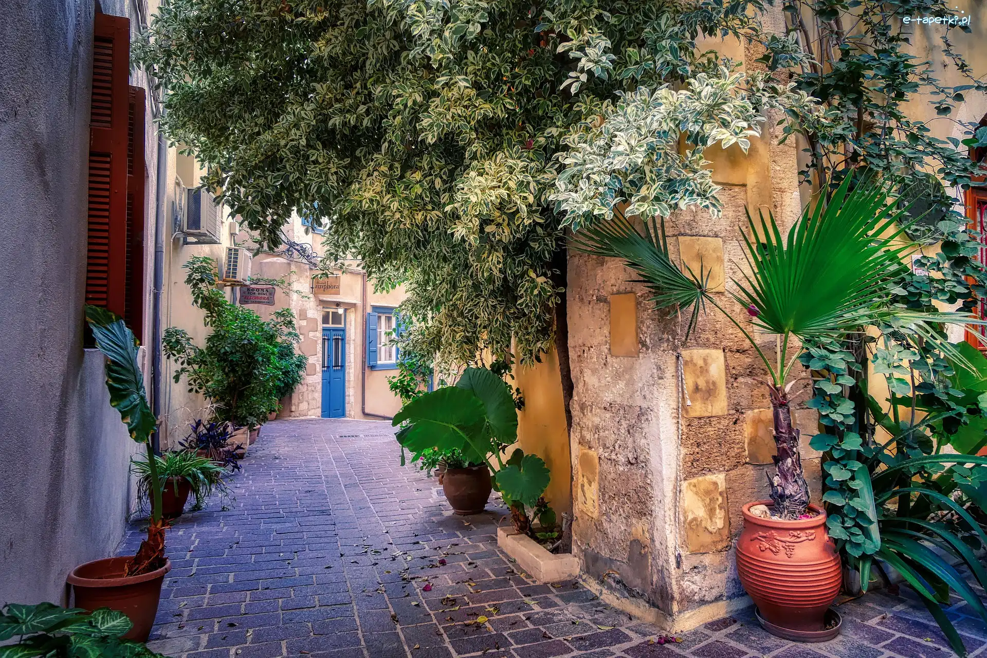 Rośliny, Miasto Chania, Ulica, Domy, Kreta, Grecja