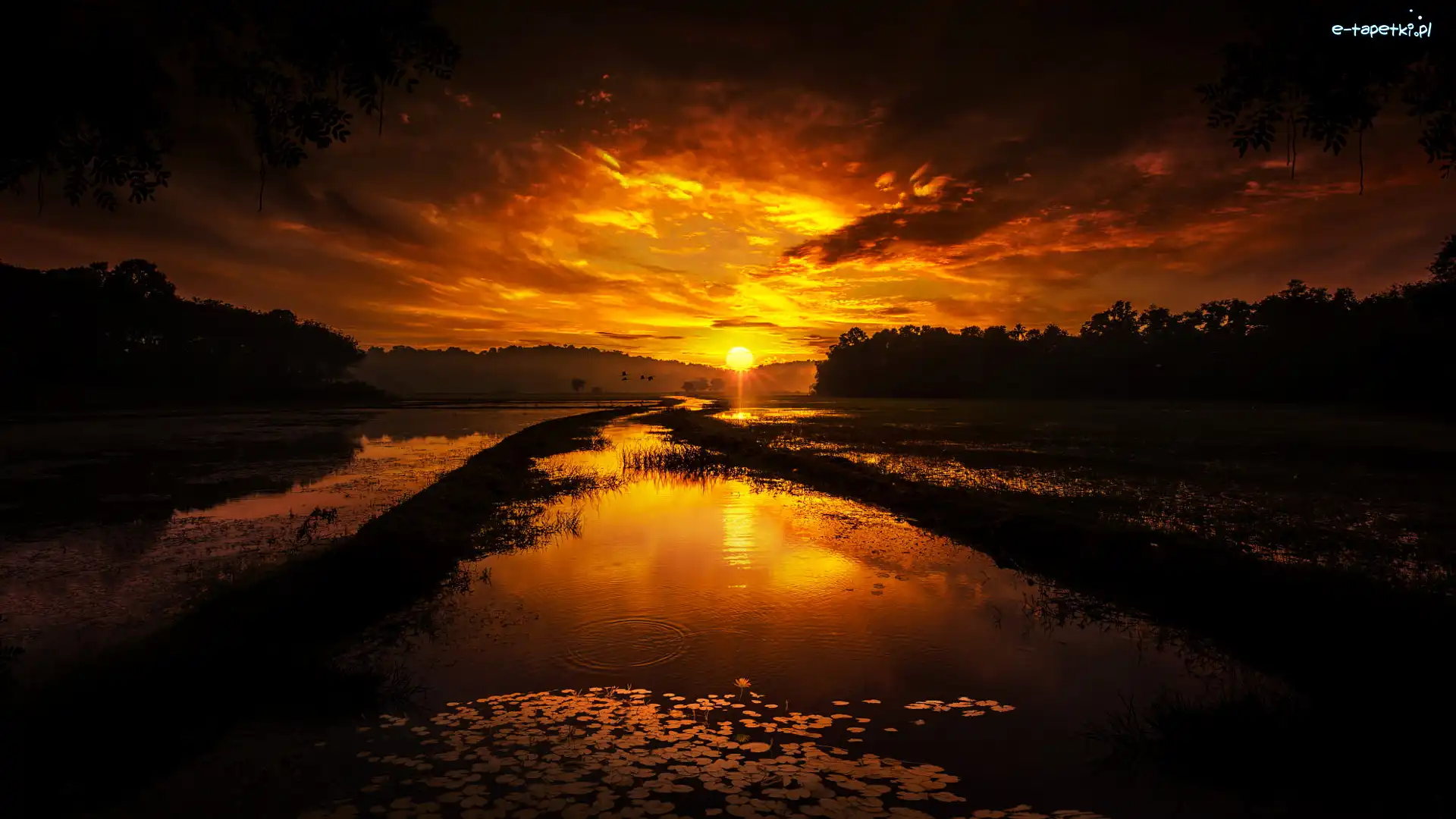 Indie, Zachód słońca, Drzewa, Aakulam Lake, Jezioro, Thiruvananthapuram, Chmury