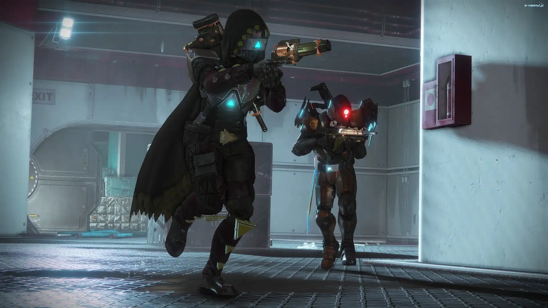 Hala, Destiny 2, Gra, Postacie