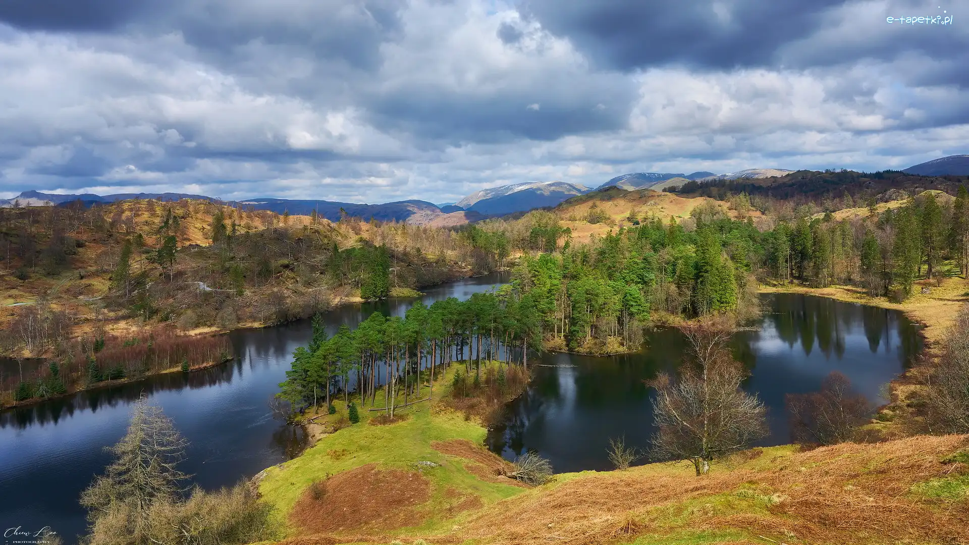 Jezioro Tarn Hows, Drzewa, Lasy, Anglia, Wzgórza, Park Narodowy Lake District