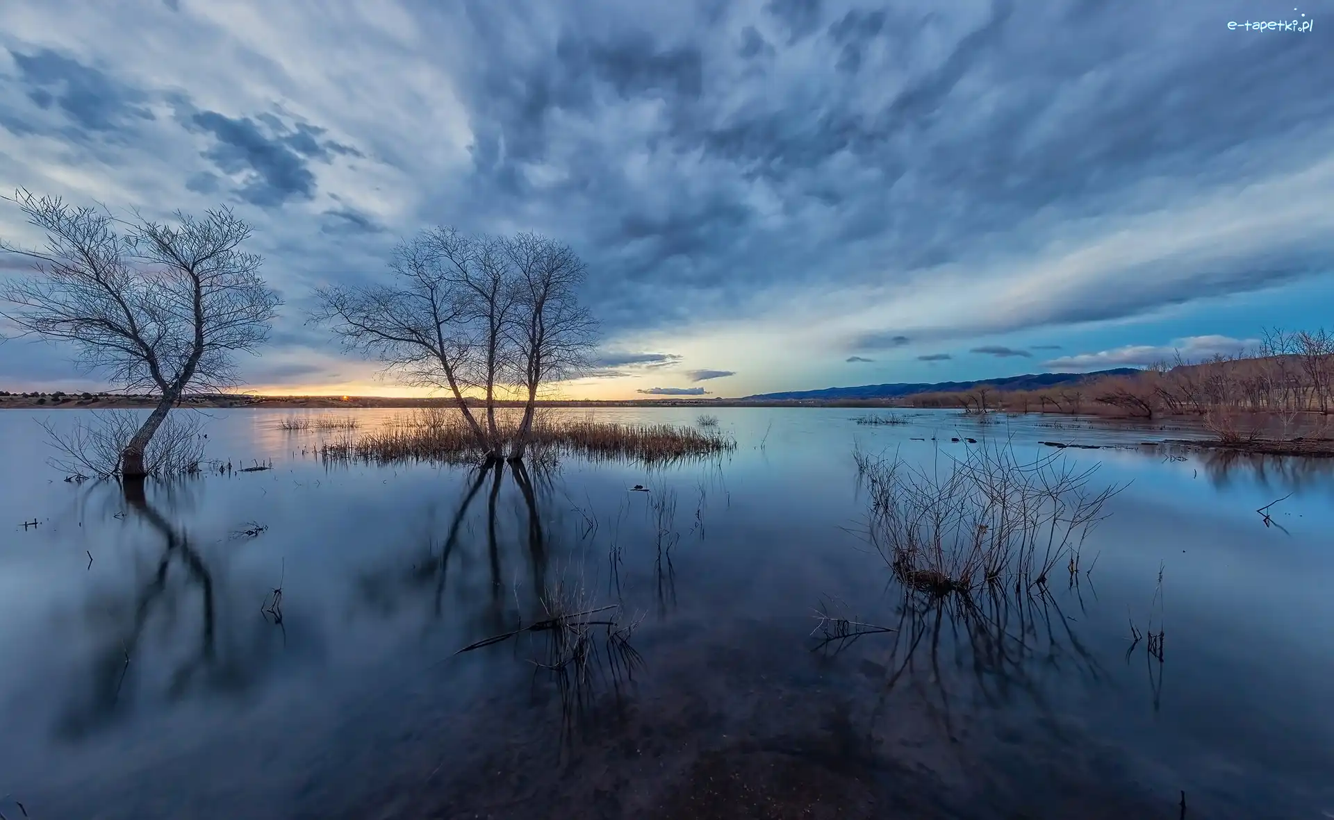 Chmury, Jezioro, Stany Zjednoczone, Kolorado, Lake Chatfield, Drzewa, Park stanowy Chatfield, Poranek