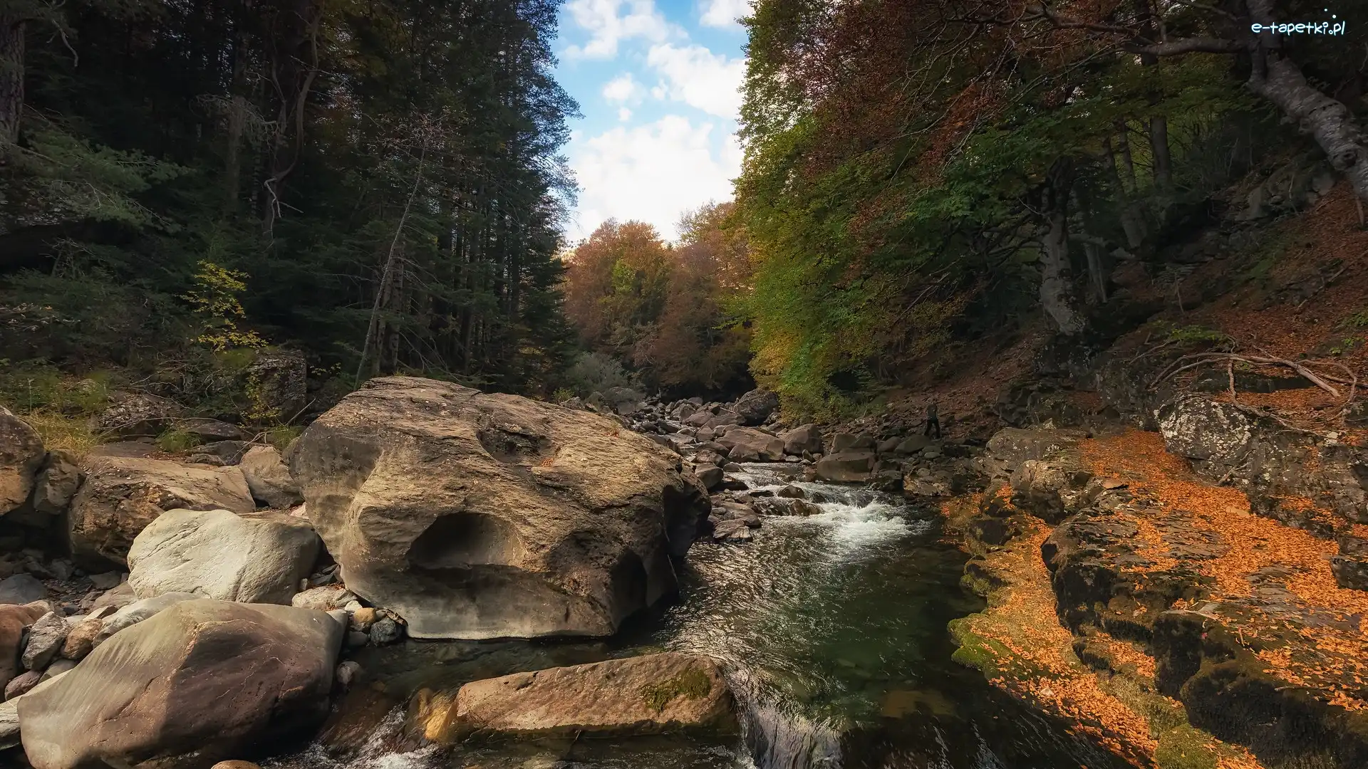 Hiszpania, Kamienie, Skarpy, Ara Rio, Rzeka, Park Narodowy Ordesa y Monte Perdido, Drzewa