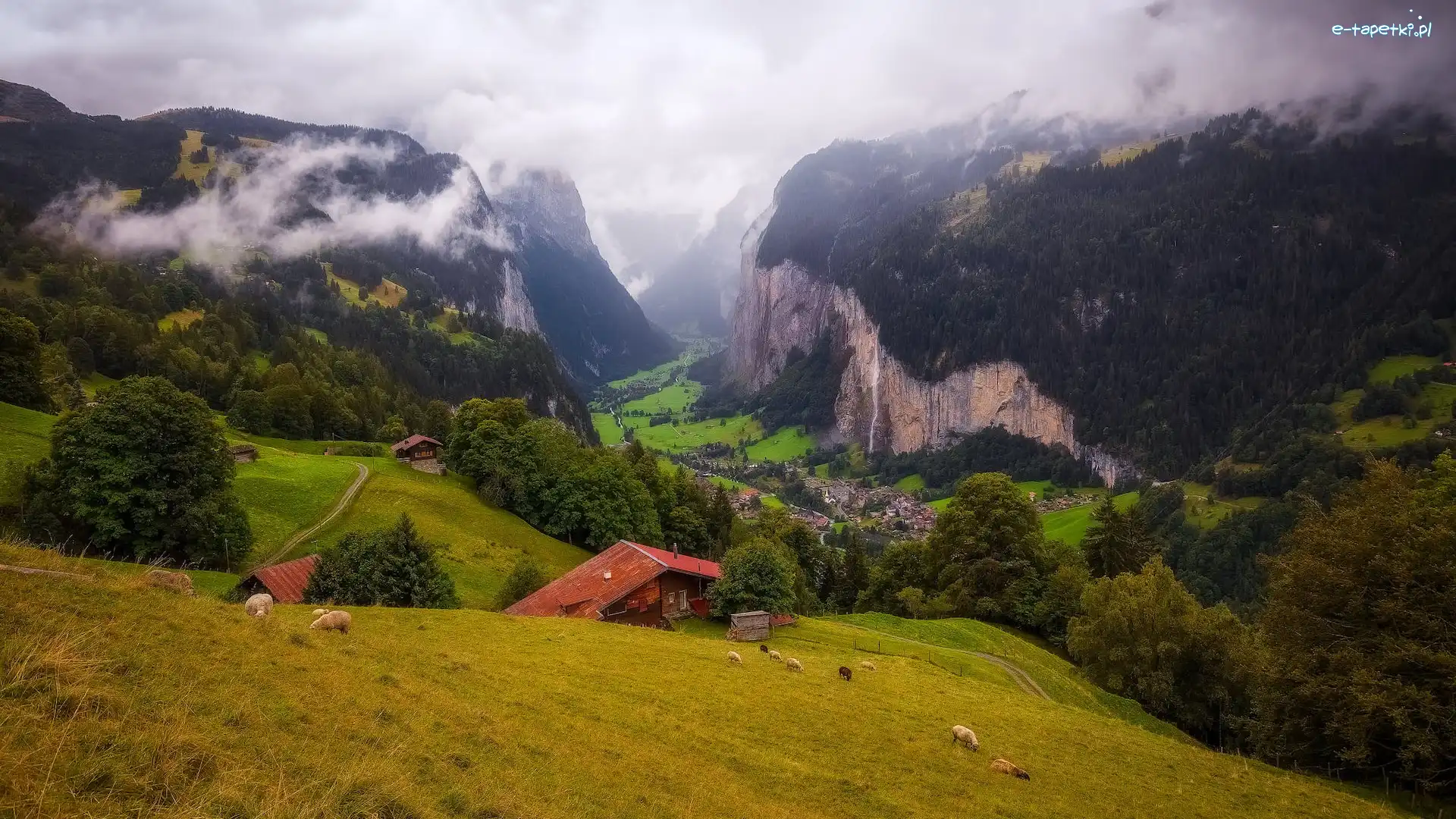 Domy, Mgła, Alpy, Góry, Szwajcaria, Owce, Drzewa, Dolina Lauterbrunnental, Łąka
