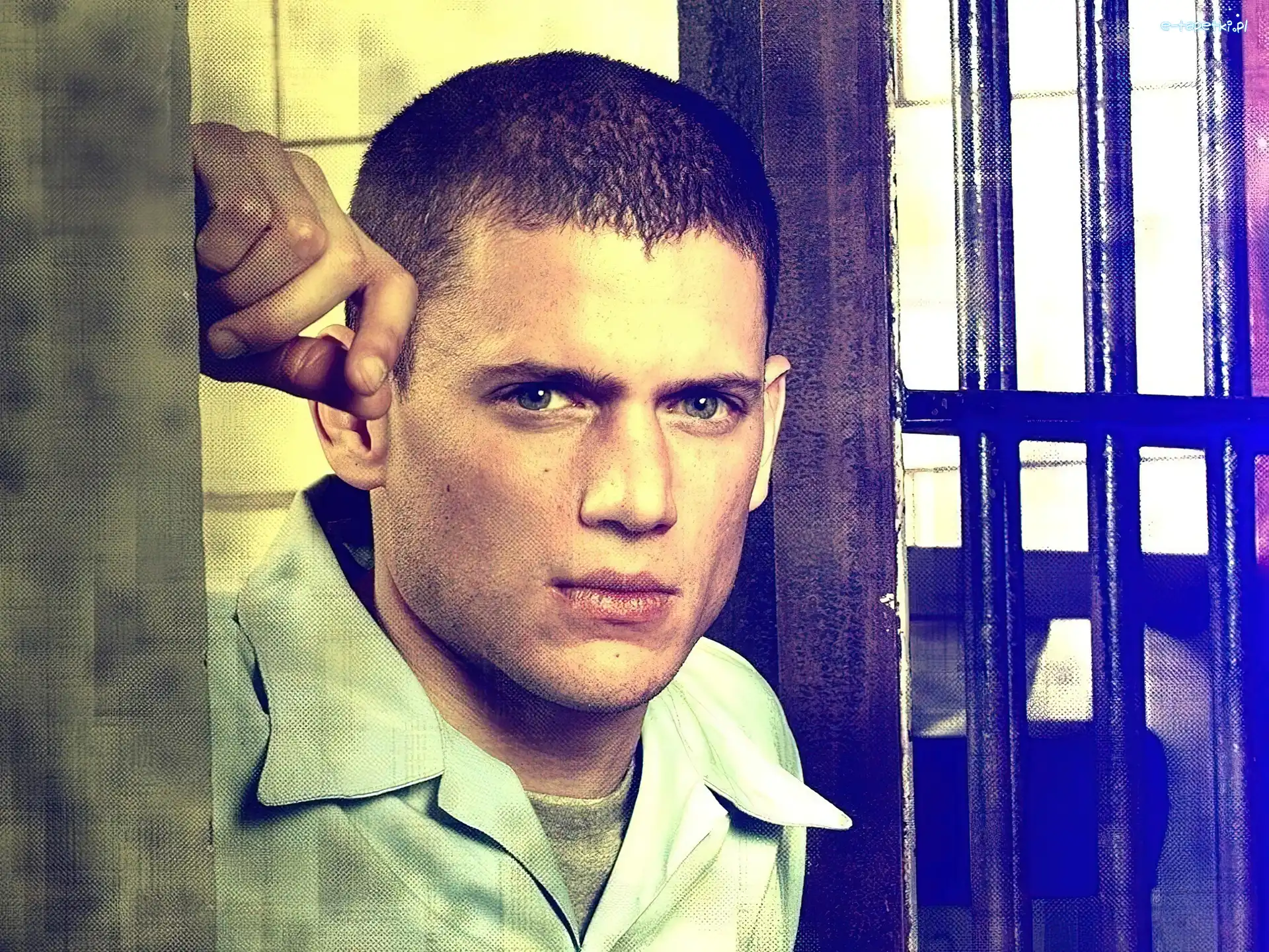 Wentworth Miller, Skazany na śmierć, Prison Break