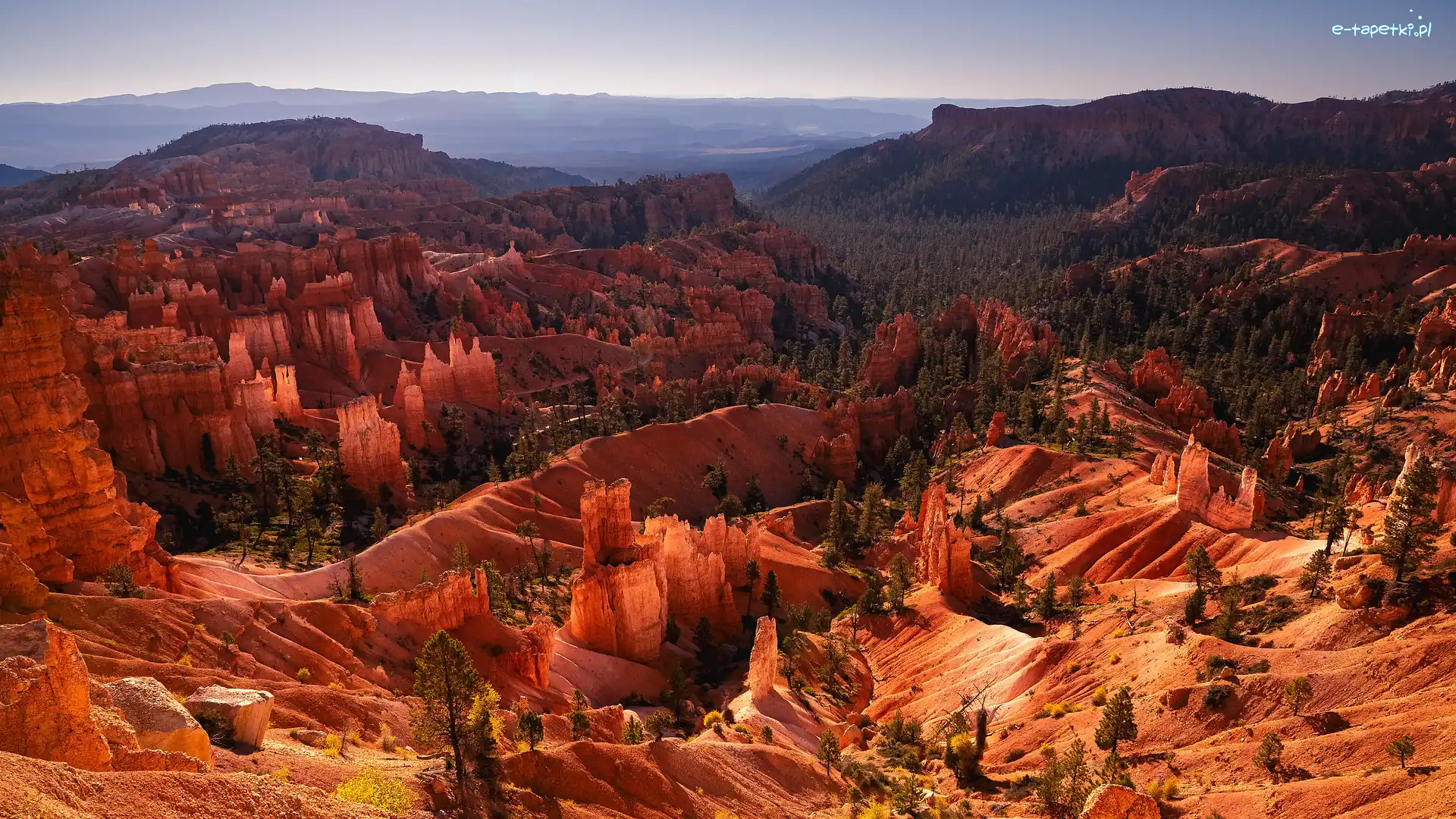 Stany Zjednoczone, Kanion, Drzewa, Skały, Góry, Utah, Park Narodowy Bryce Canyon