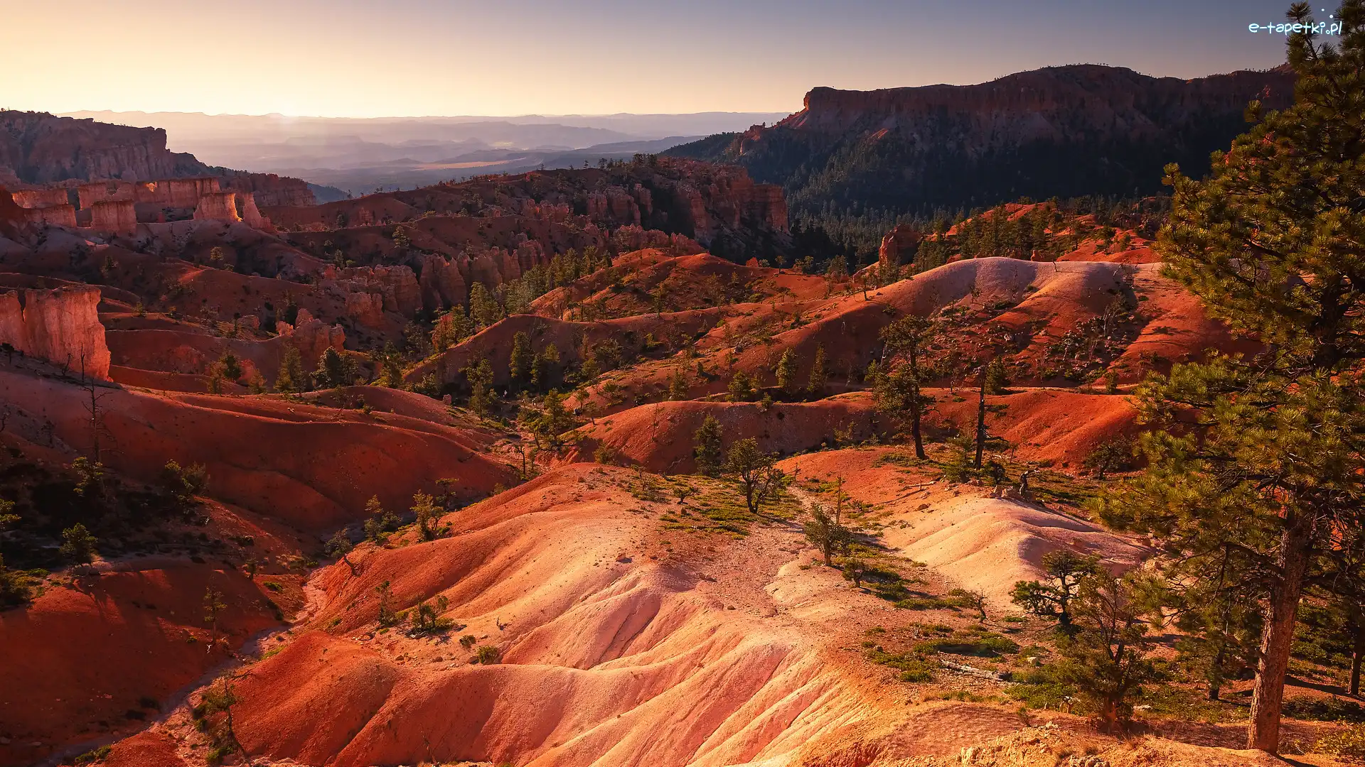 Utah, Park Narodowy Bryce Canyon, Kanion, Skały, Góry, Sosny, Drzewa, Bryce Canyon, Stany Zjednoczone