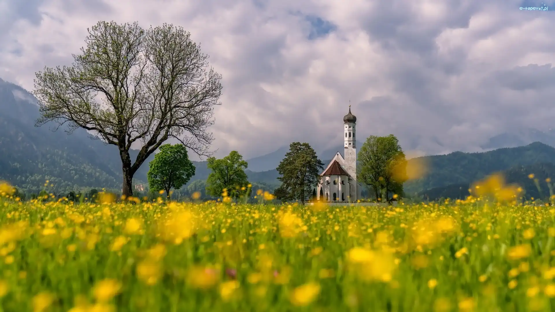 Region Allgau, Alpy, Niemcy, Schwangau, Drzewa, Łąka, Chmury, Góry, Kościół Eglise Saint Coloman, Bawaria