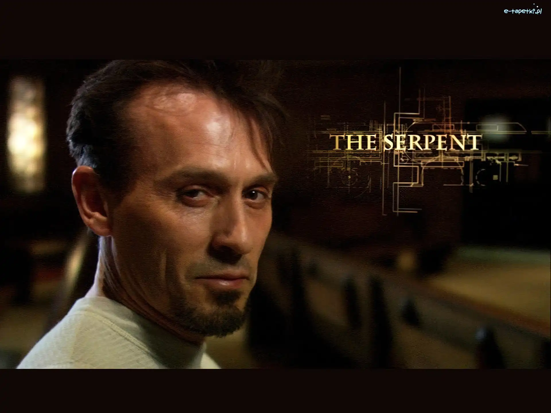 Skazany na śmierć, twarz, Robert Knepper, Prison Break