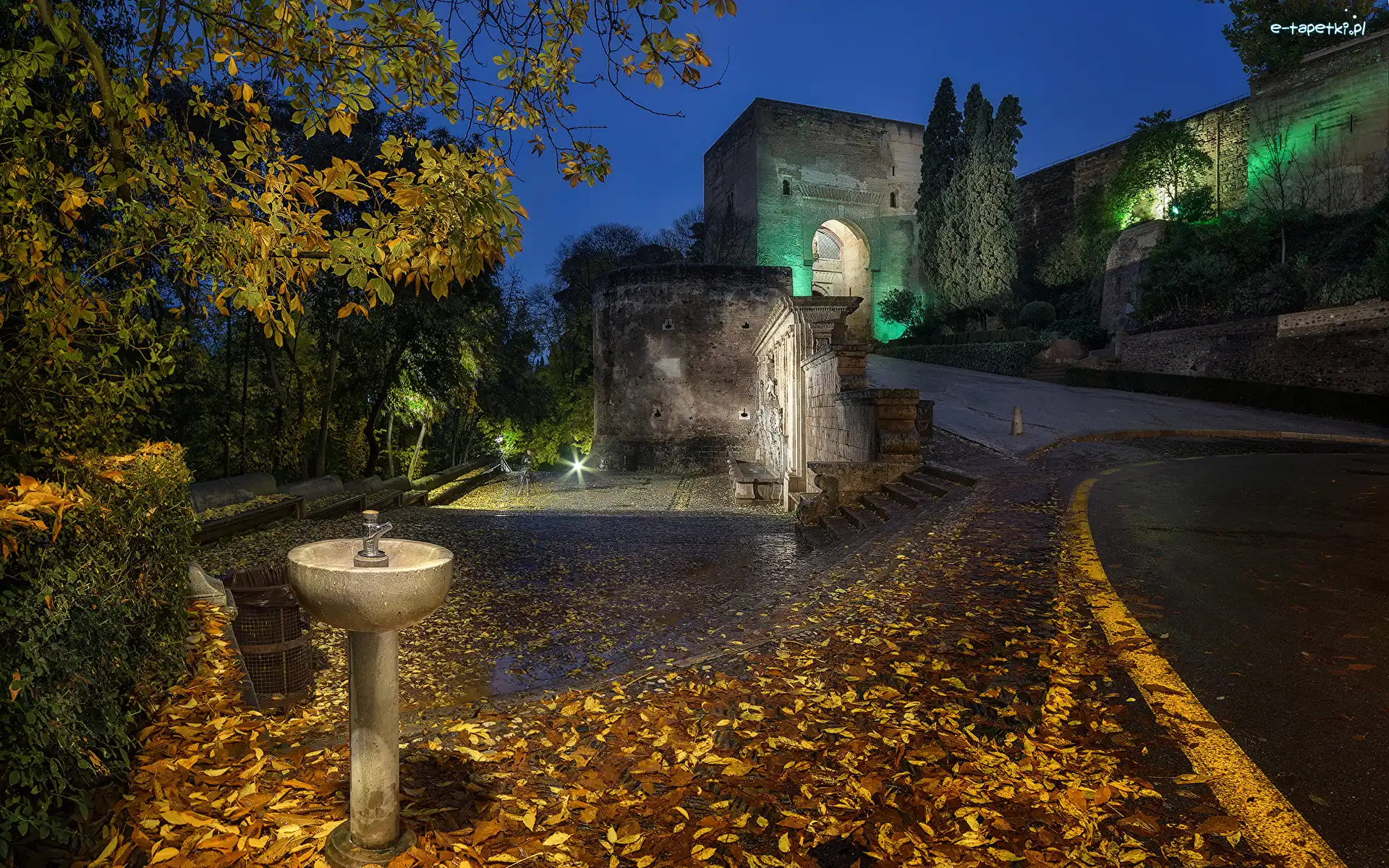 Drzewa, Pałac Alhambra, Noc, Grenada, Hiszpania, Fontanna, Światło