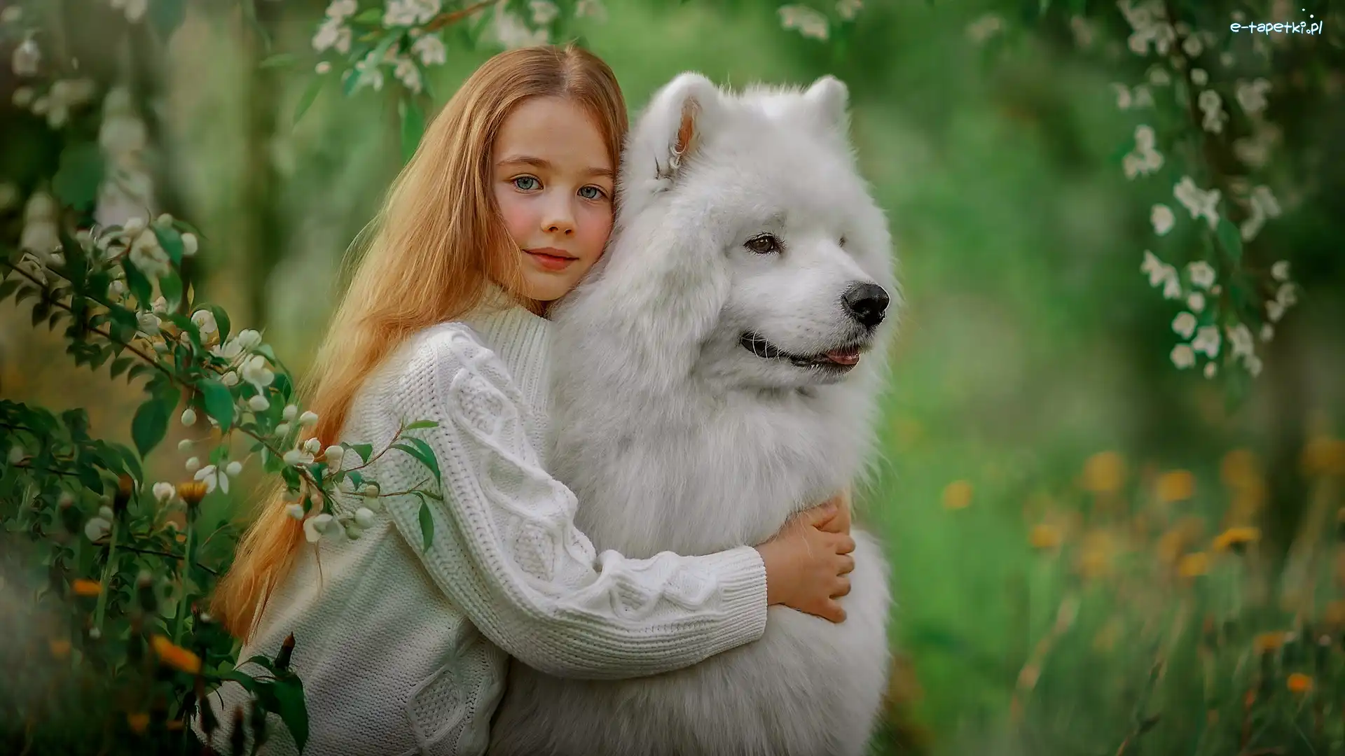 Gałązki, Pies, Samojed, Kwiaty, Dziewczynka, Rudowłosa