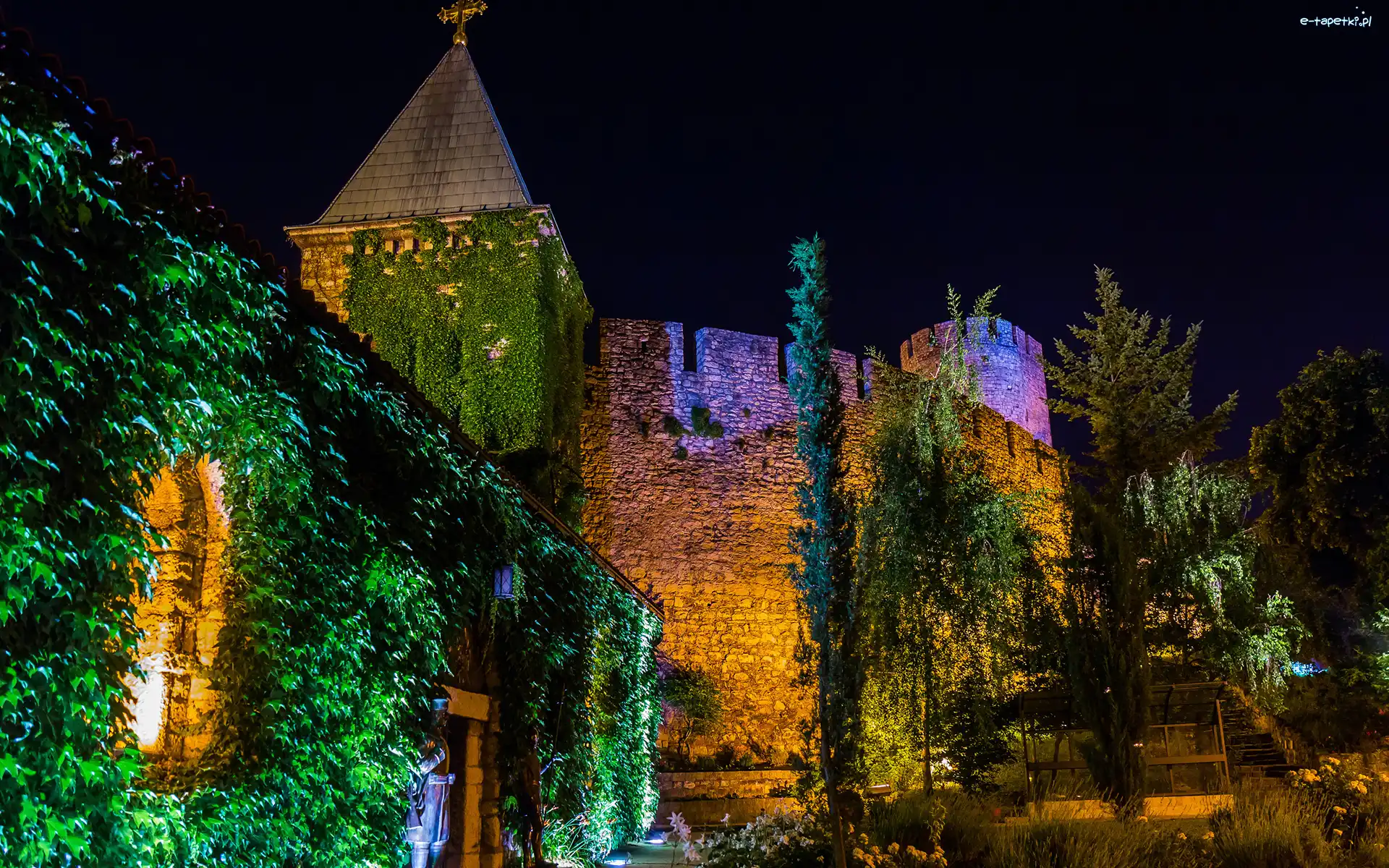 Roślinność, Zamek, Twierdza Belgradzka, Belgrad, Serbia, Światło, Noc