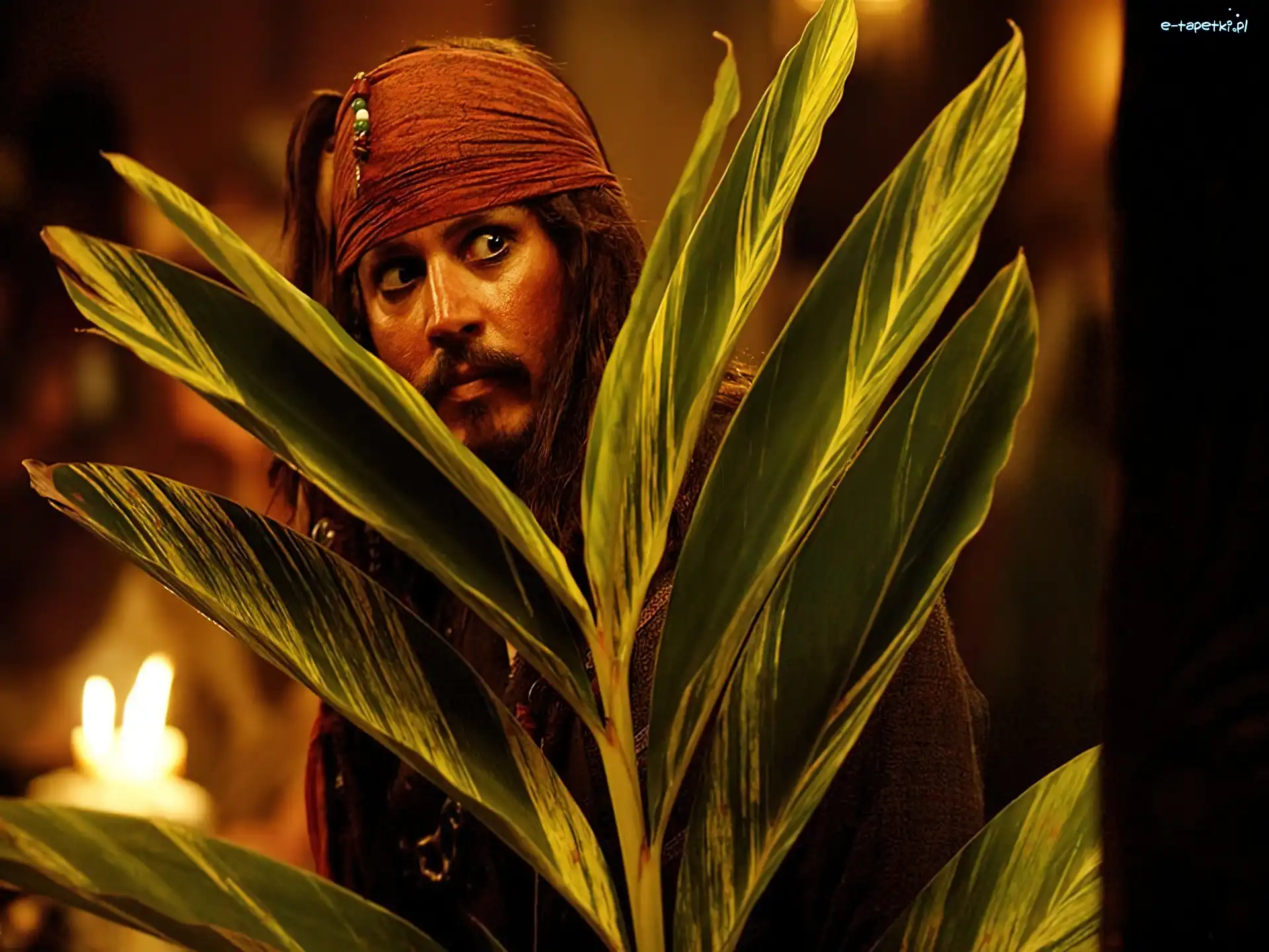 liście, Johnny Depp, piraci_z_karaibow_2