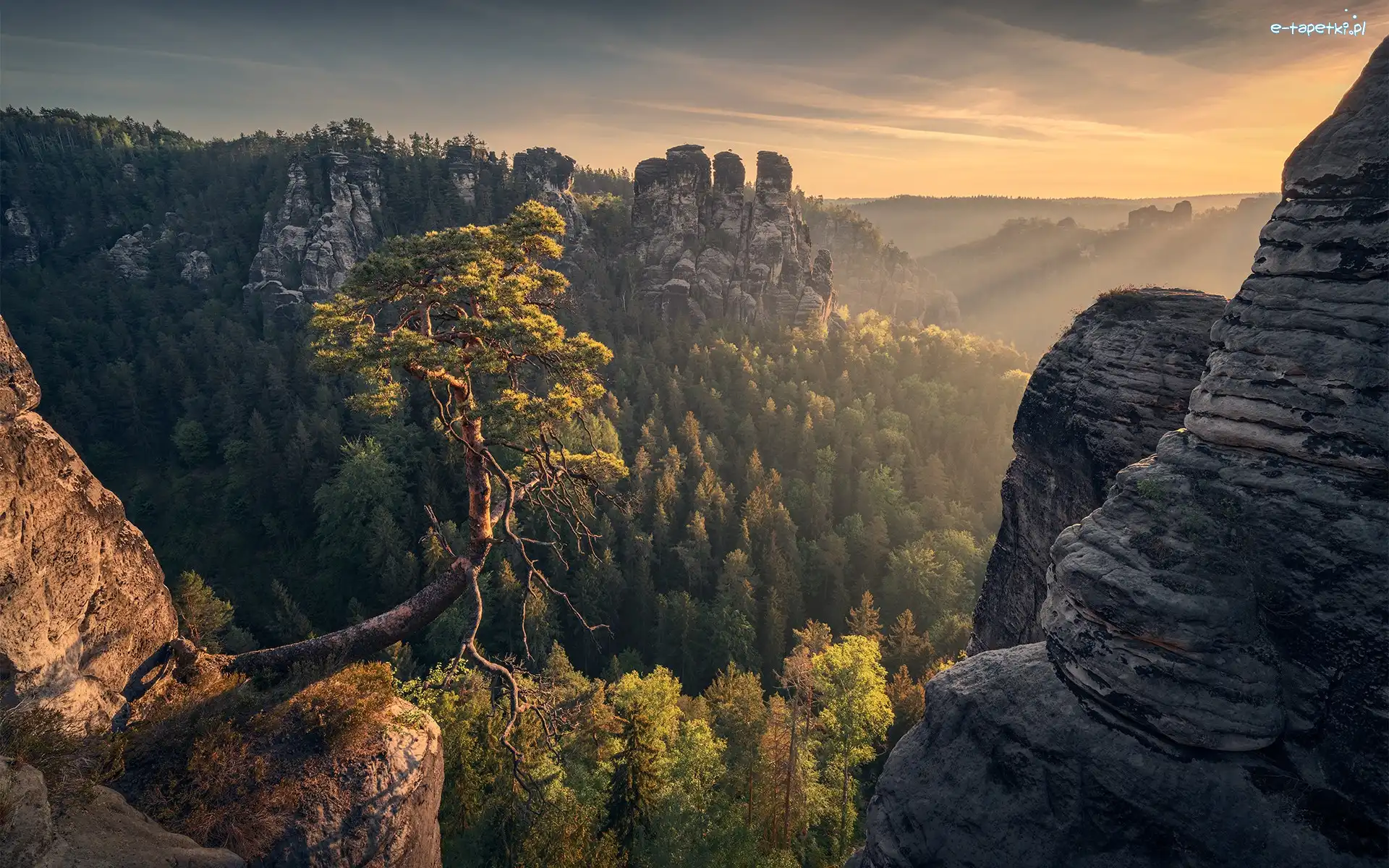 Niemcy, Skały, Drzewo, Park Narodowy Saskiej Szwajcarii, Góry Połabskie, Przebijające światło, Las