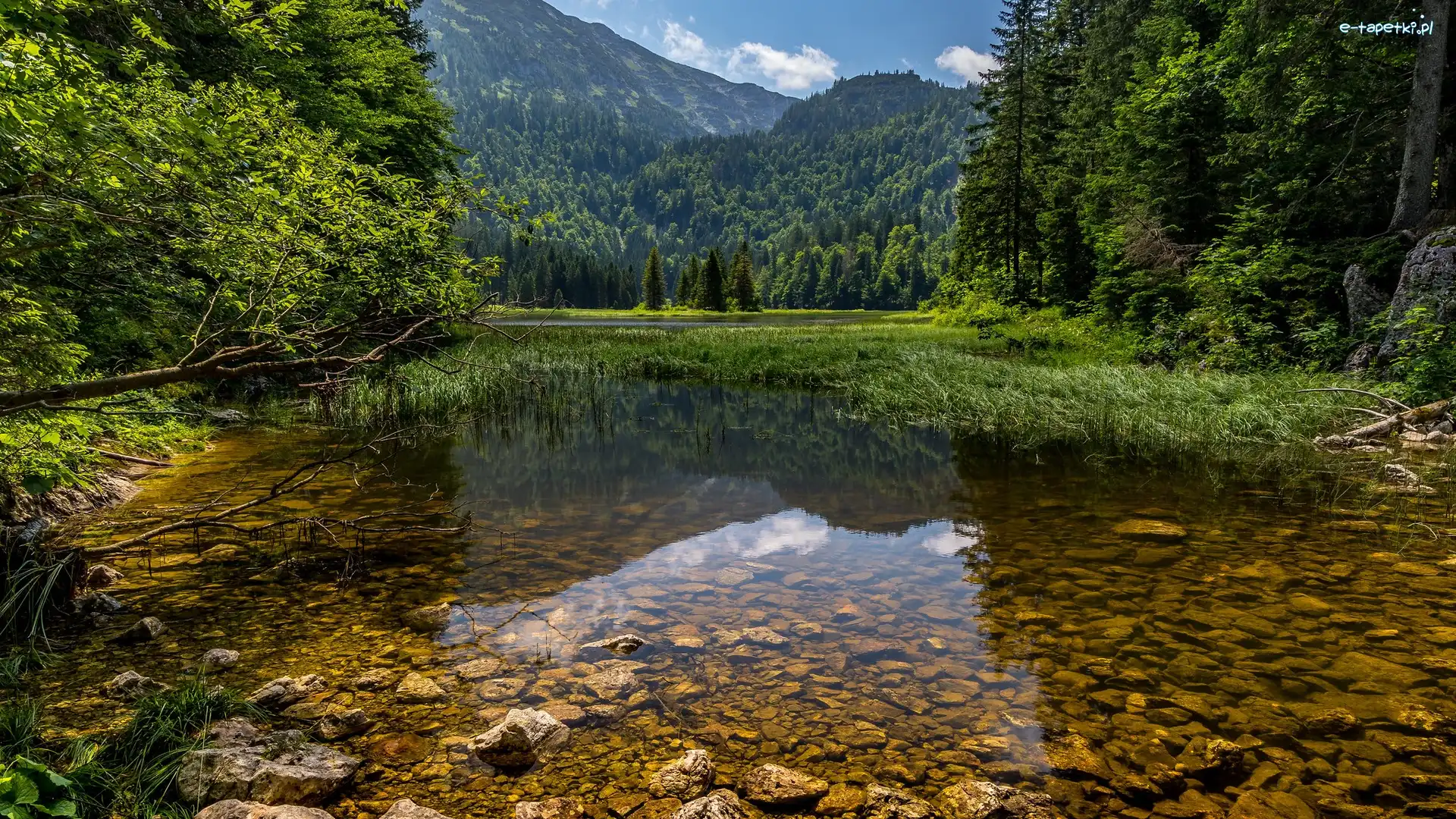 Austria, Lunzersee, Jezioro Lunzkie, Jezioro, Góry, Odbicie, Drzewa