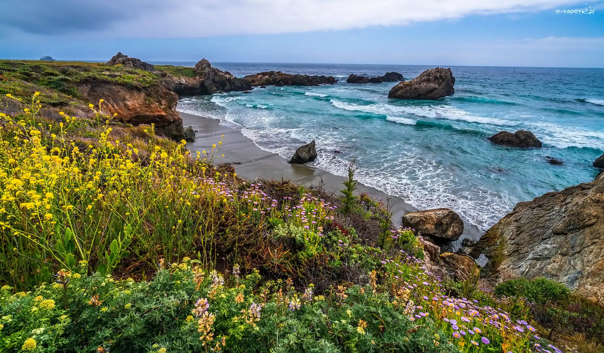 Kalifornia, Kwiaty, Wybrzeże Big Sur, Stany Zjednoczone, Skały, Morze