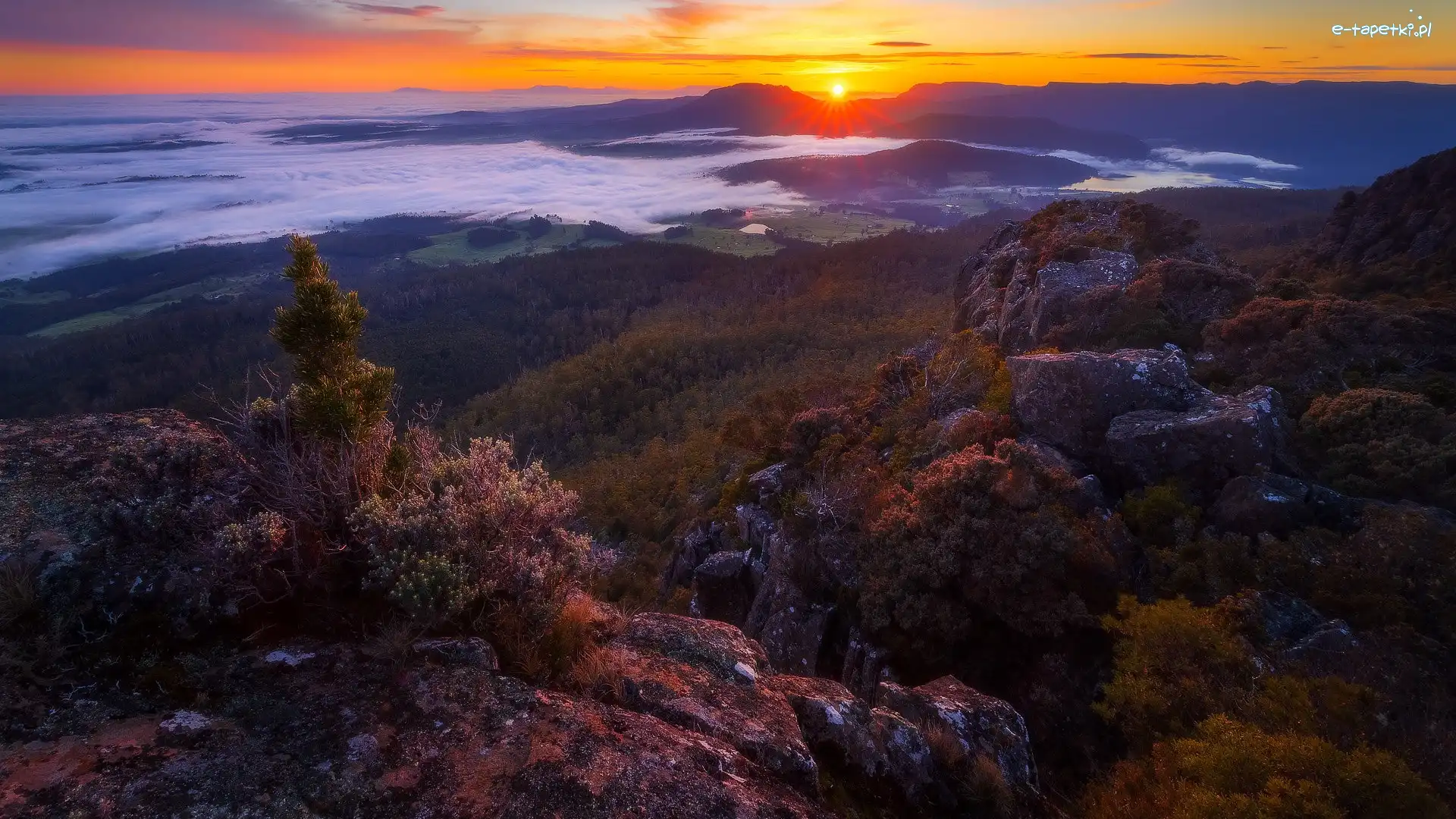 Mother Cummings Peak, Zachód słońca, Dolina, Drzewa, Australia, Opadająca, Góra, Tasmania, Mgła, Skały, Meander Valley