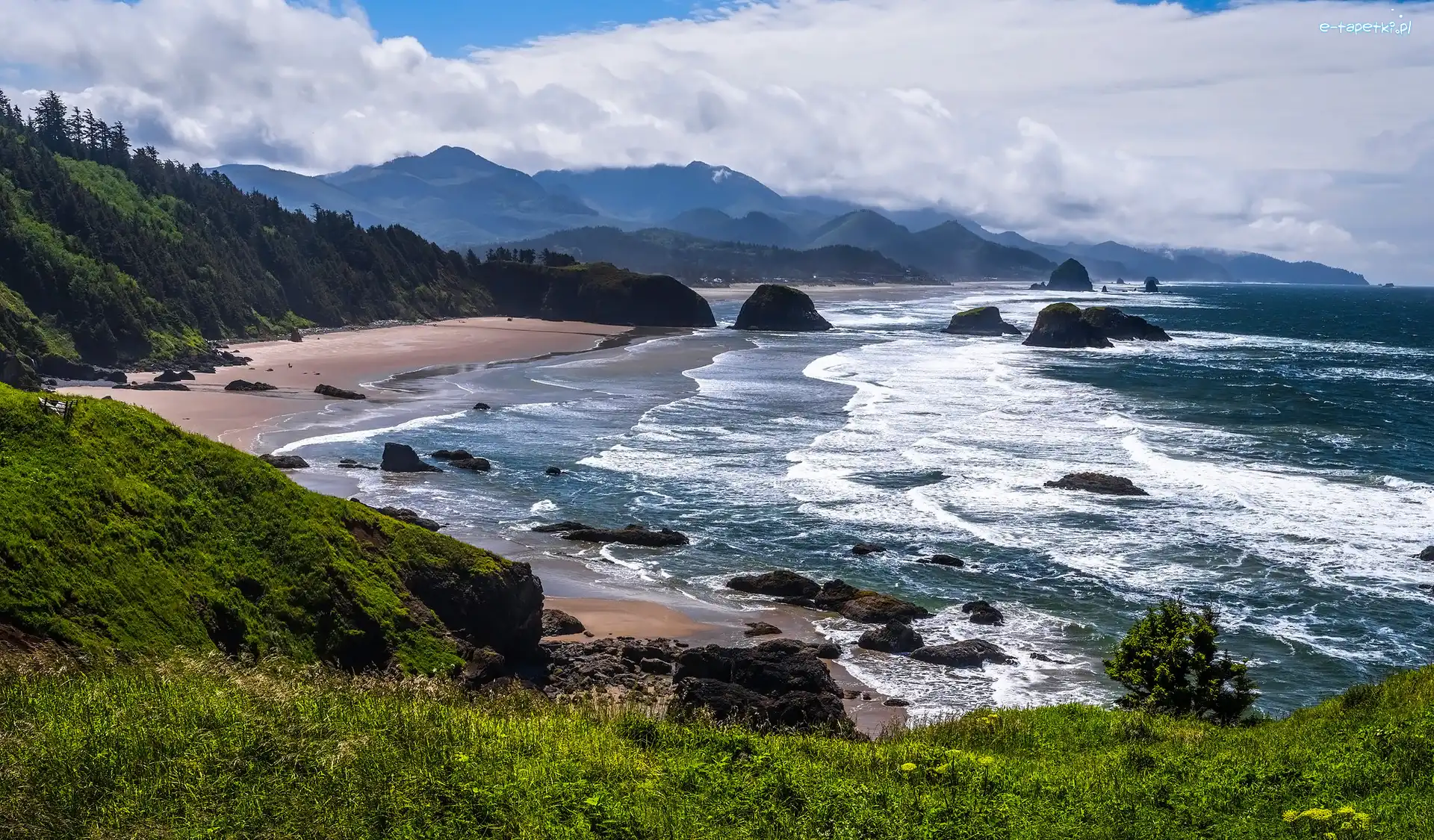 Cannon Beach, Drzewa, Stany Zjednoczone, Park stanowy Ecola, Skały, Rośliny, Plaża, Morze, Góry, Oregon