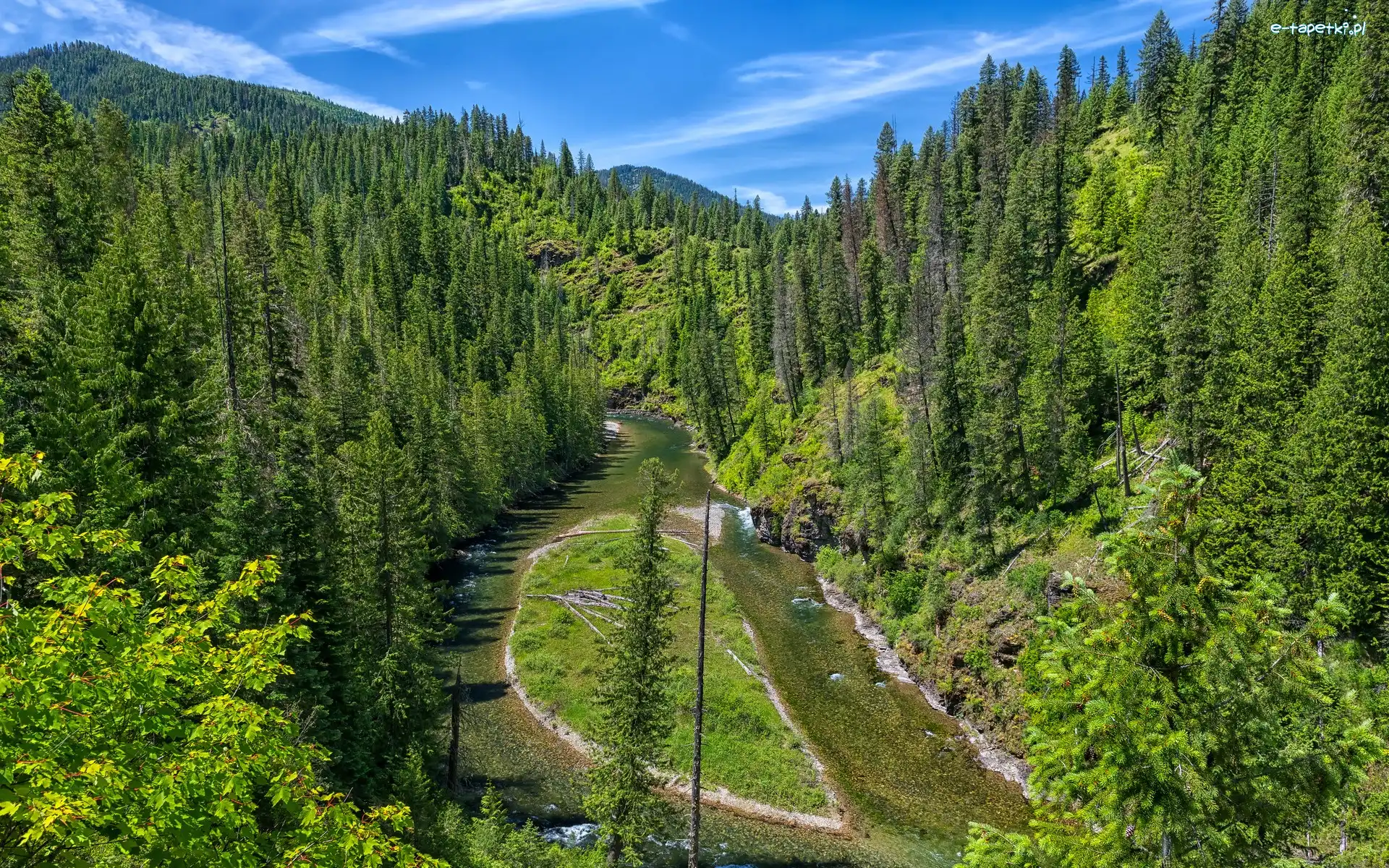 Las, Drzewa, Stany Zjednoczone, Idaho, Zielony, Rzeka, Saint Joe River, Góry