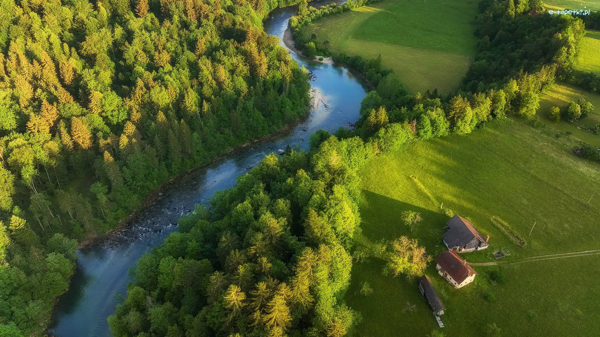 Słowenia, Drzewa, Polana, Zielone, Rzeka Sava, Z lotu ptaka, Domy