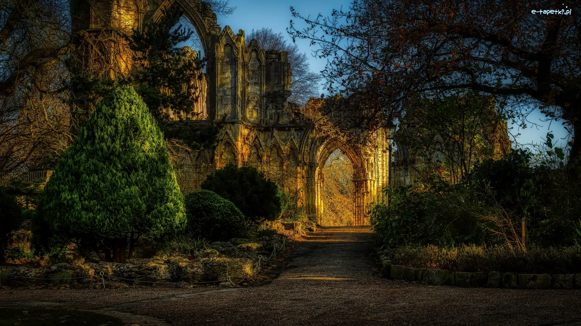 York, Drzewa, York Minster, Katedra, Mury, HDR, Anglia, Brama, North Yorkshire
