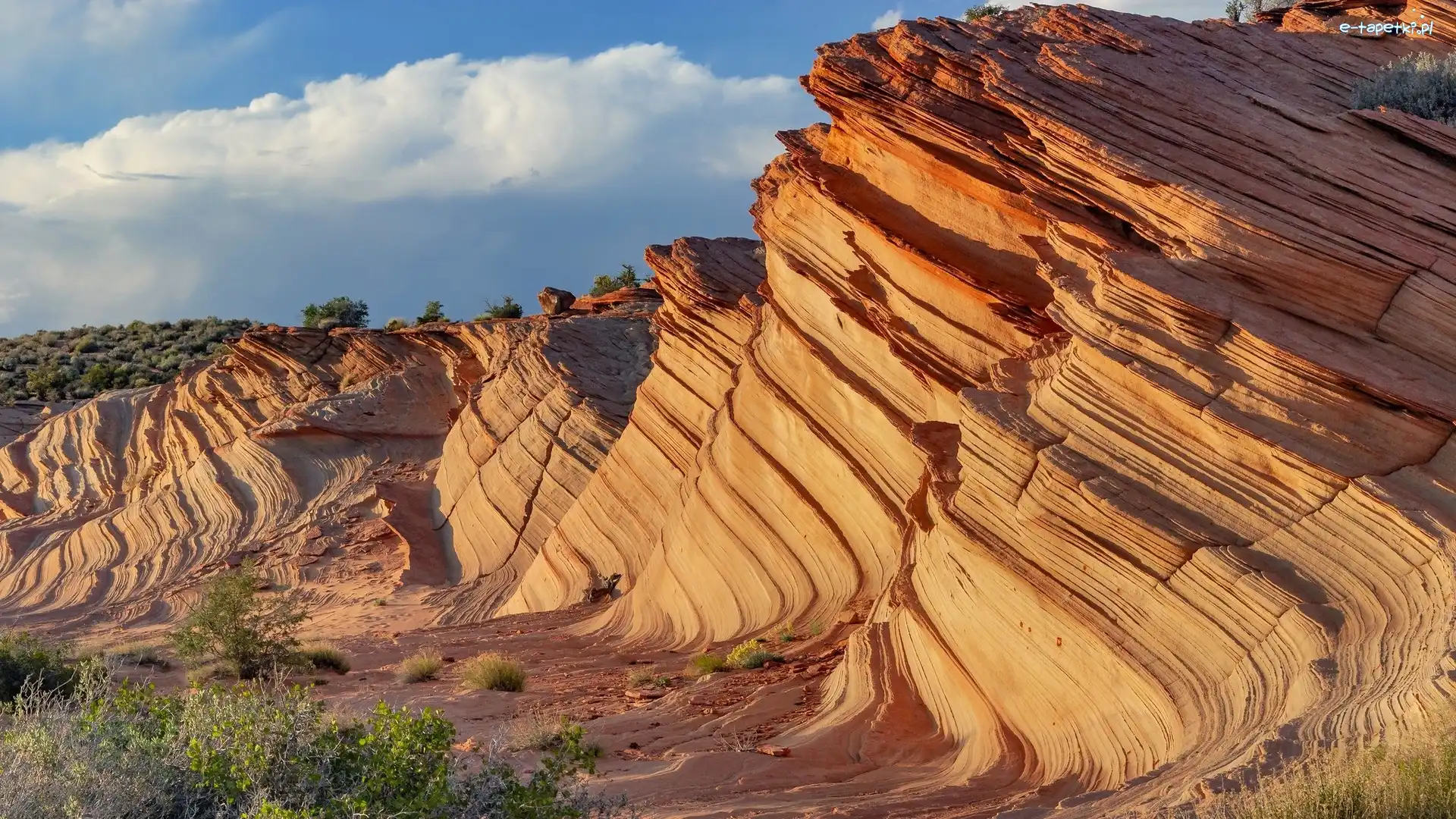 Skała The Wave, Waterholes Canyon, Kanion, Stany Zjednoczone, Arizona