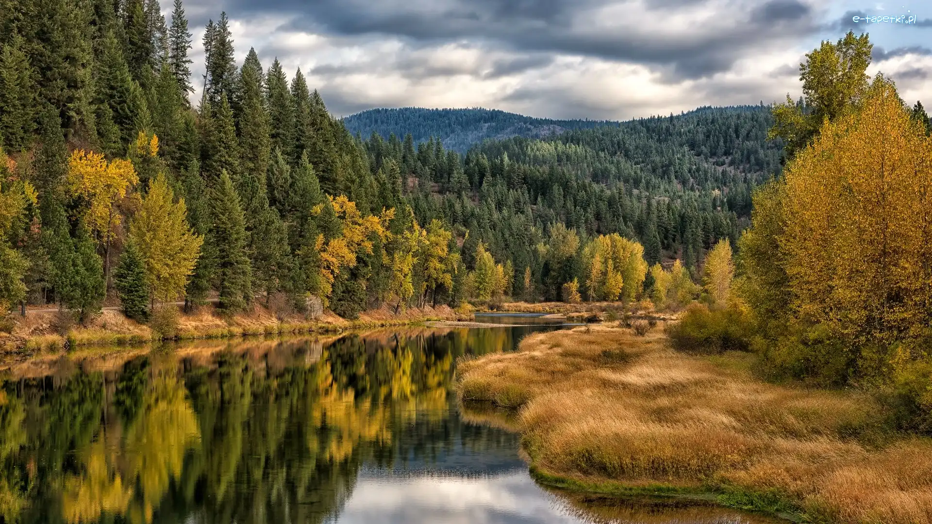 Góry, Las, Coeur dAlene River, Rzeka, Jesień, Stany Zjednoczone, Idaho, Drzewa, Hrabstwo Kootenai