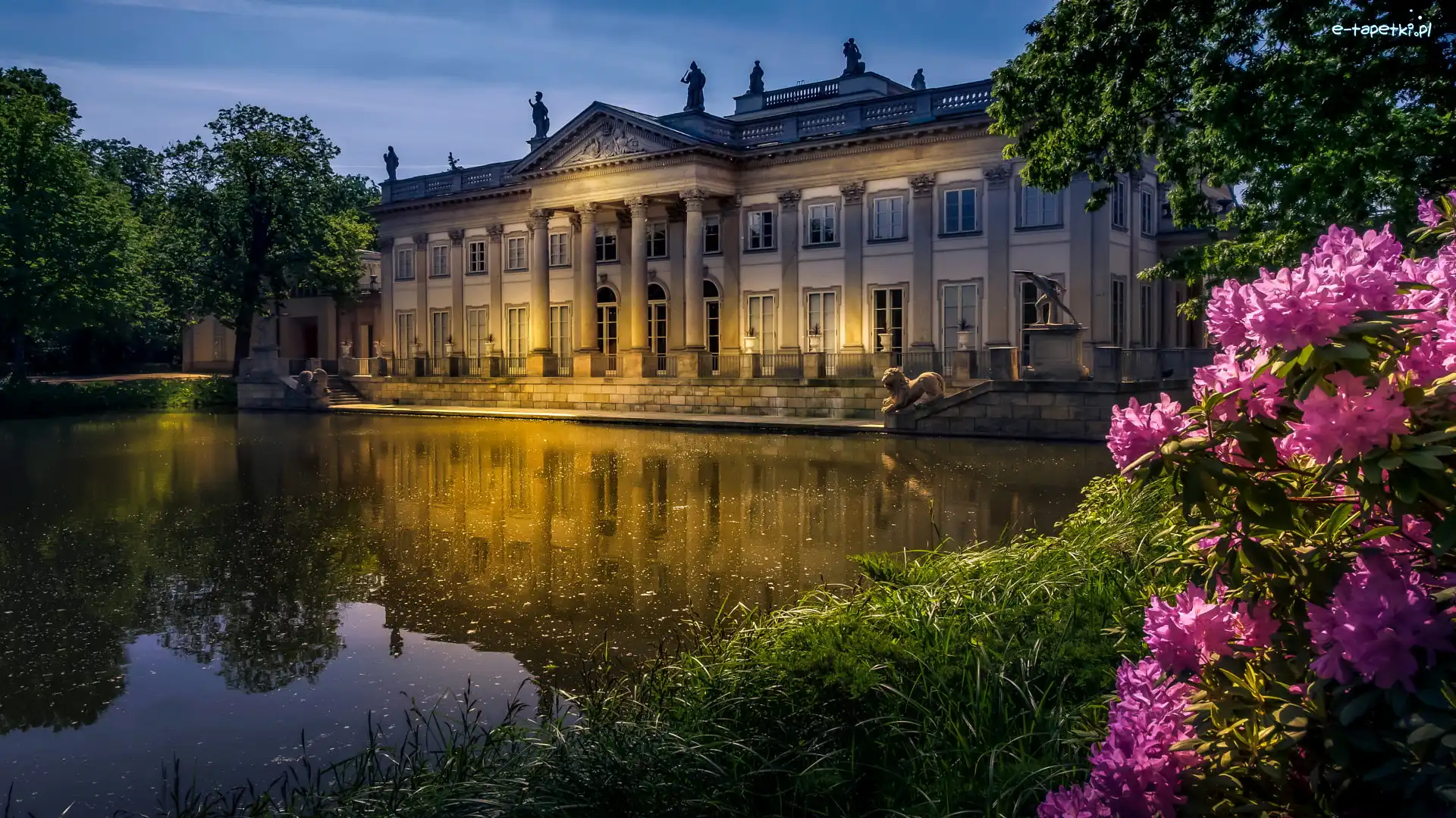 Warszawa, Różanecznik, Łazienki Królewskie, Polska, Staw, Pałac Na Wyspie