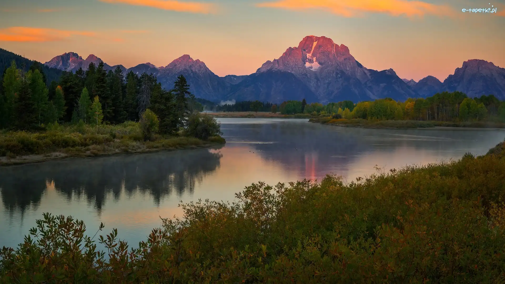 Krzewy, Drzewa, Rzeka, Teton Range, Góry, Stany Zjednoczone, Stan Wyoming, Snake River, Park Narodowy Grand Teton