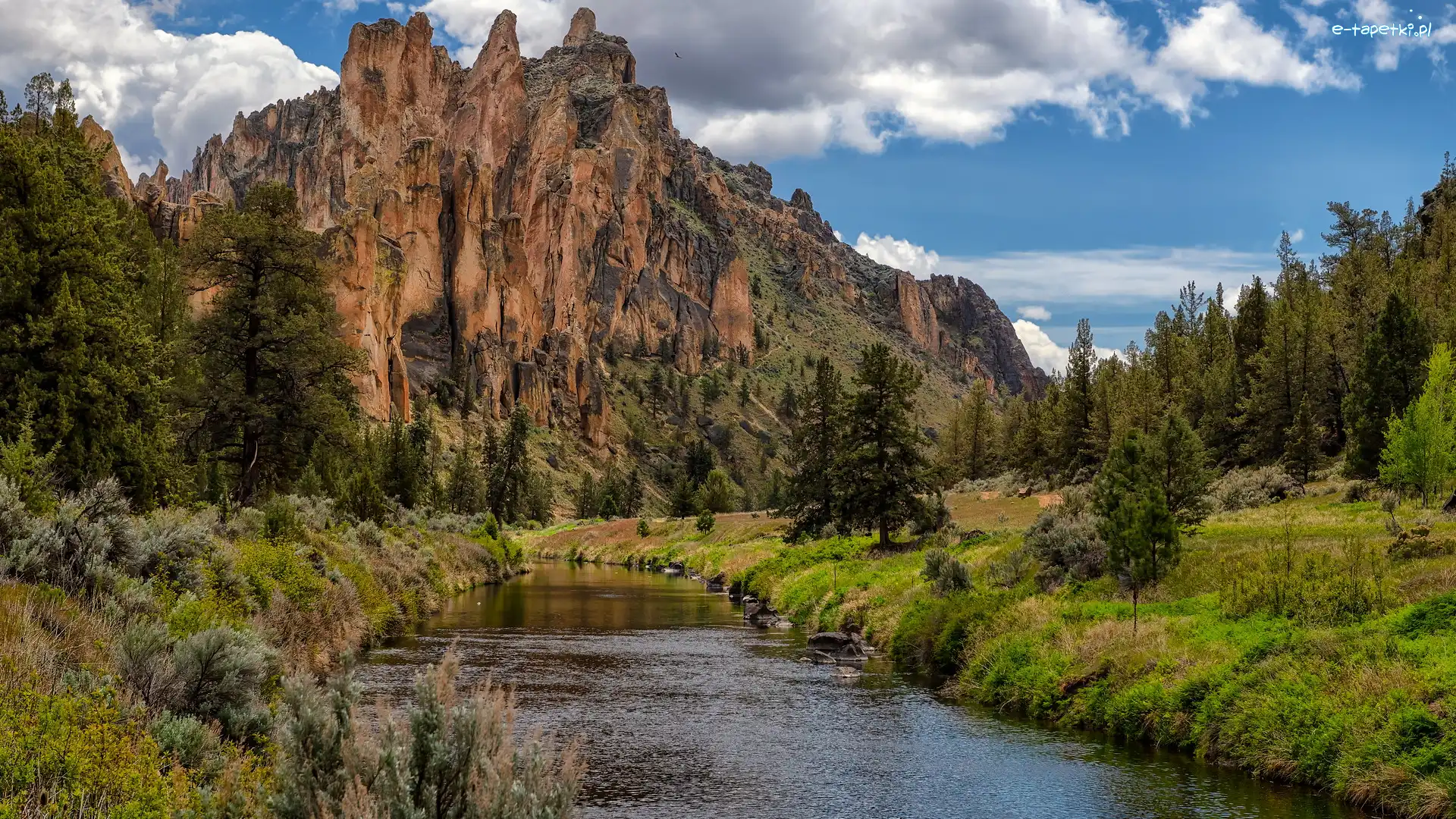 Drzewa, Góry, Stany Zjednoczone, Stan Oregon, Smith Rock, Skały, Rzeka Crooked River, Smith Rock State Park
