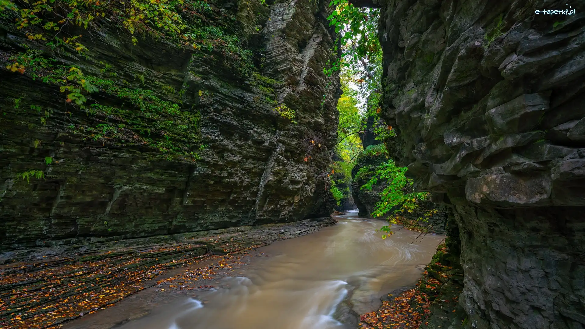 Nowy Jork, Rzeka Glen Creek, Watkins Glen State Park, Stany Zjednoczone, Skały, Wąwóz