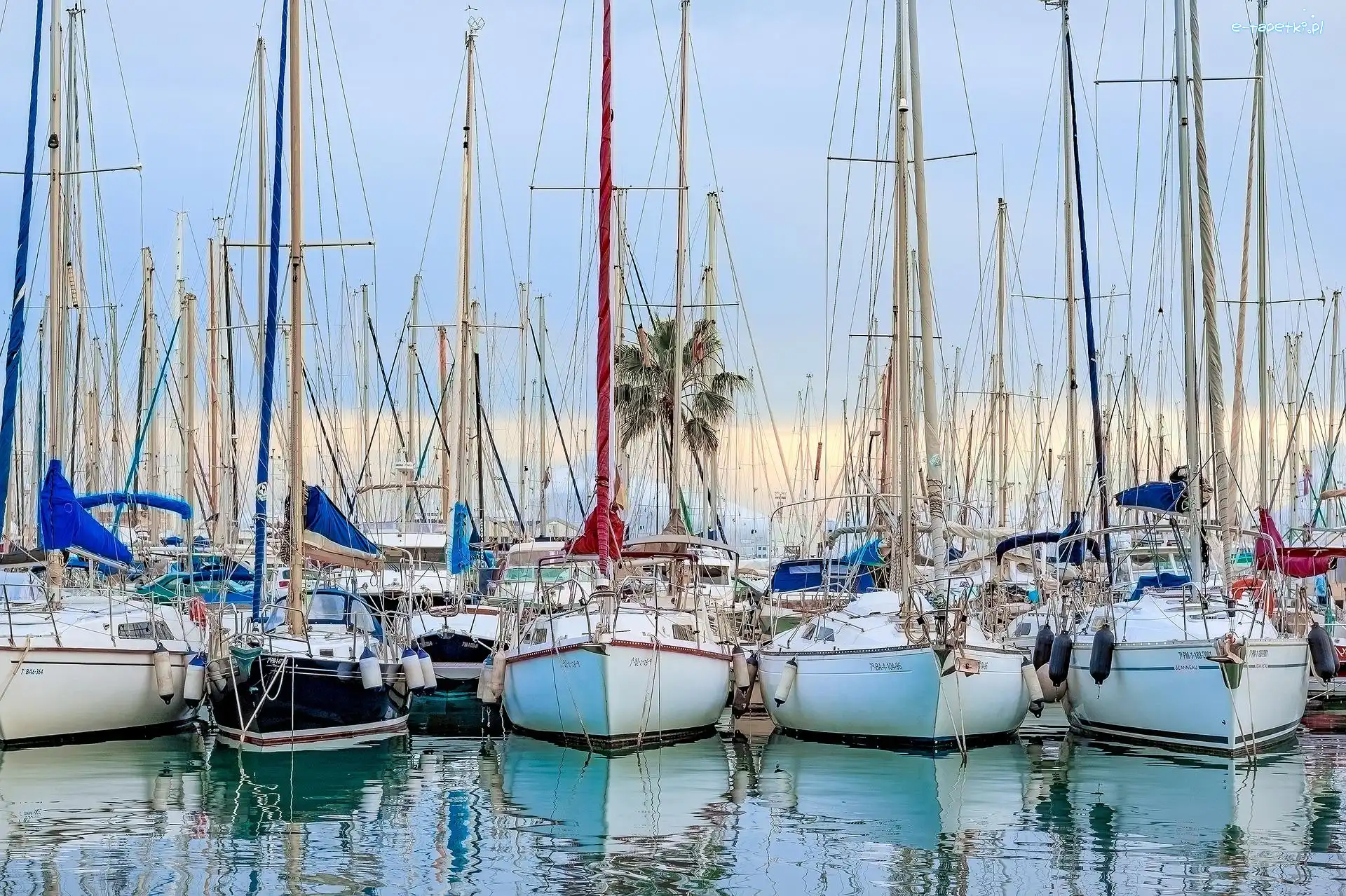 Port, Palma de Mallorca, Żaglówki, Hiszpania, Majorka