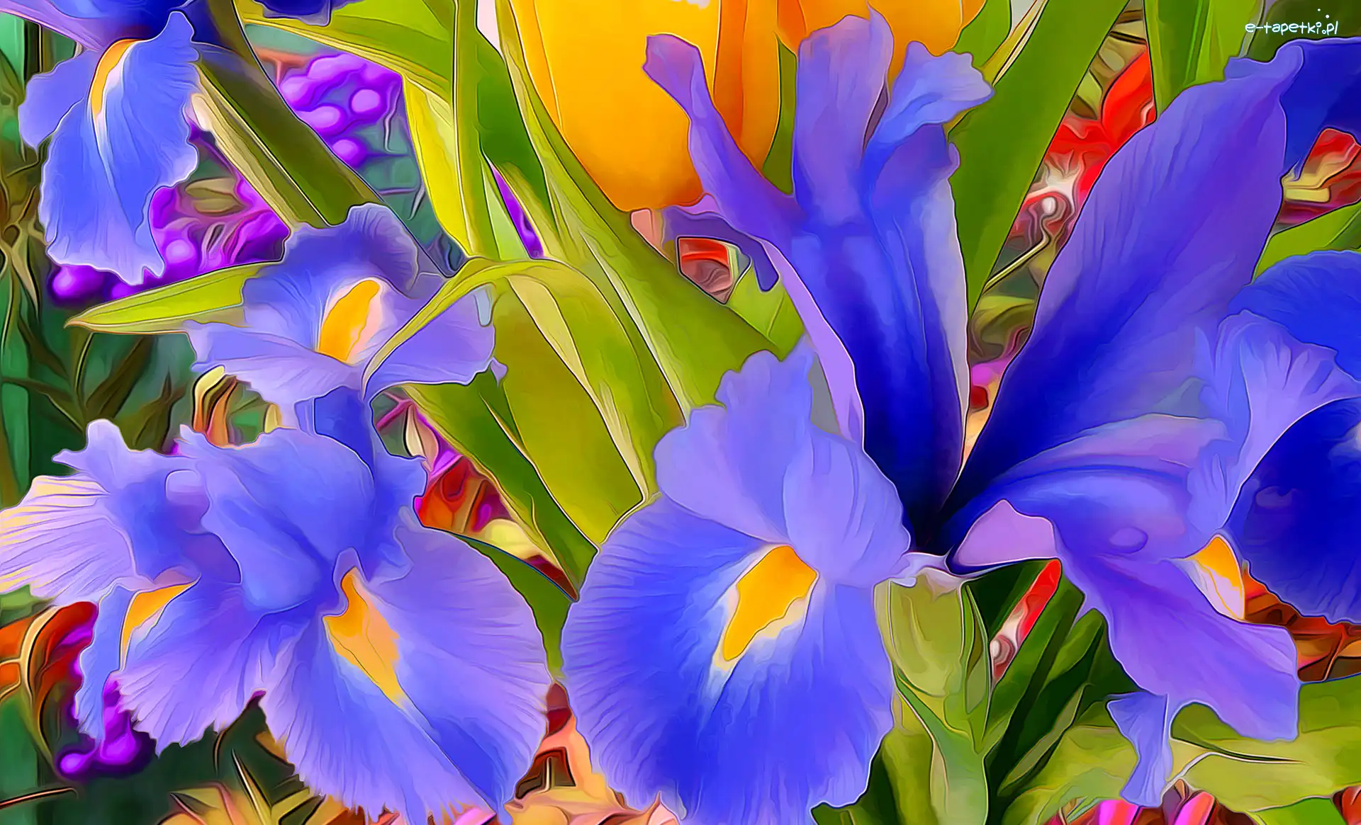 Kwiaty, Irysy, Kolorowe, Fractalius, Liście