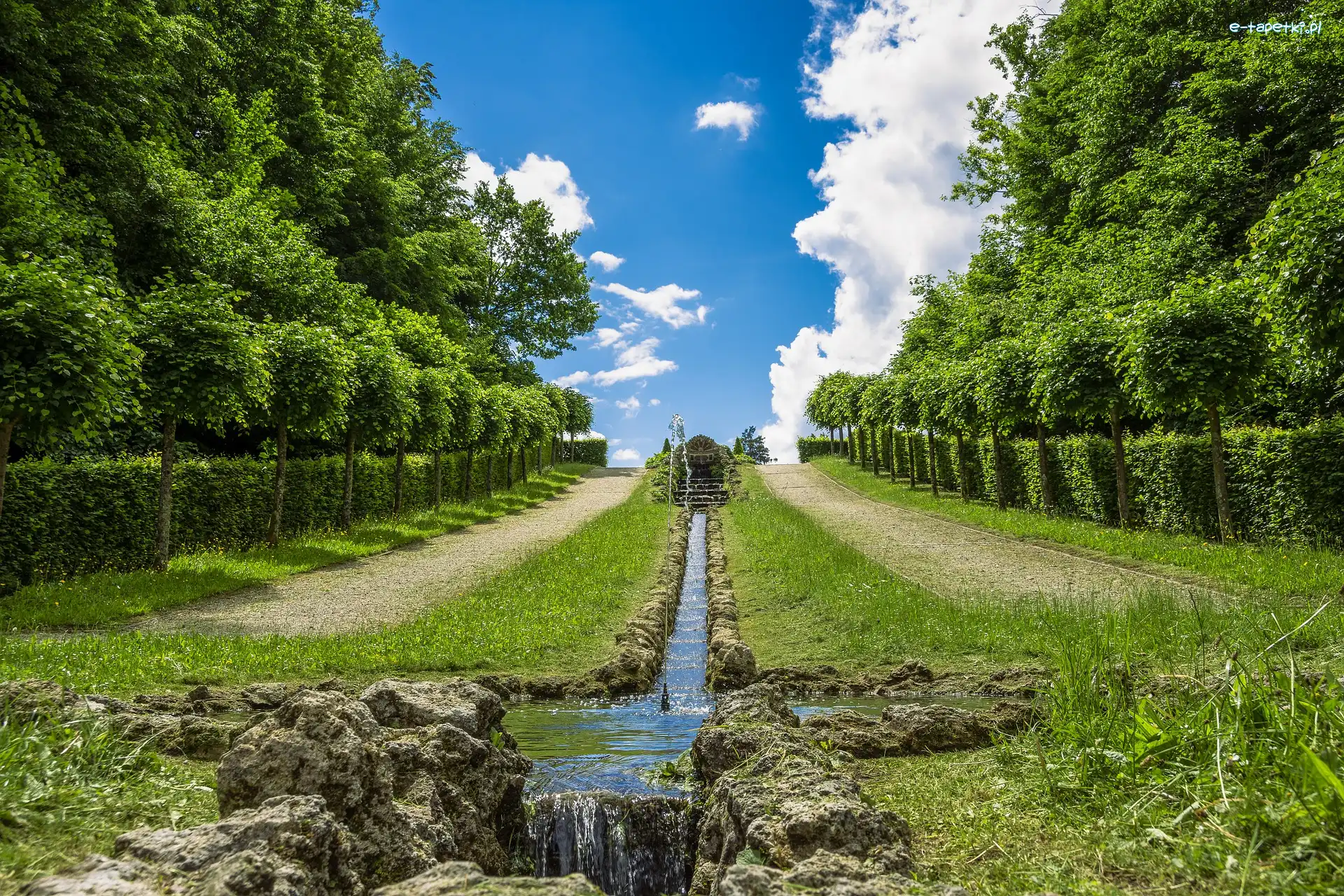 Żywopłot, Strumień, Drzewa, Park