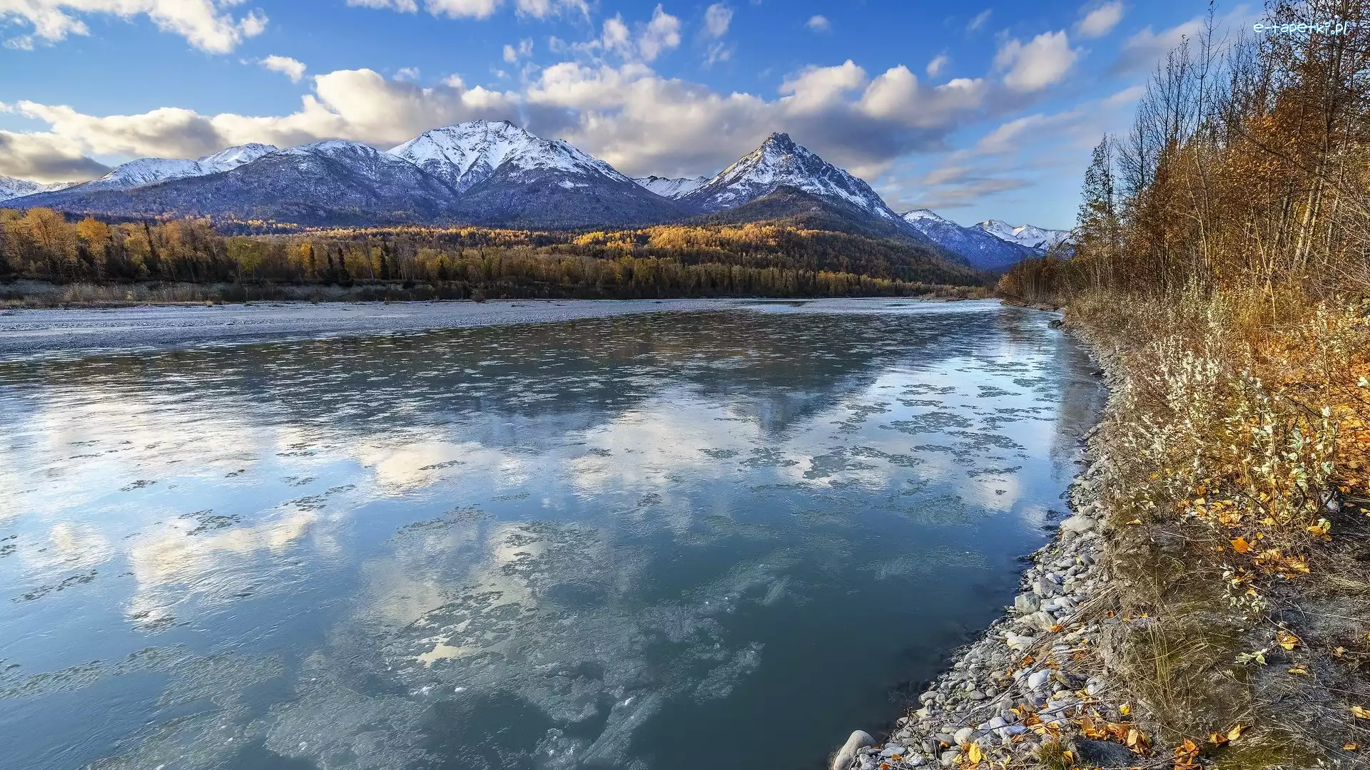 Alaska, Matanuska River, Drzewa, Stany Zjednoczone, Rzeka, Góry