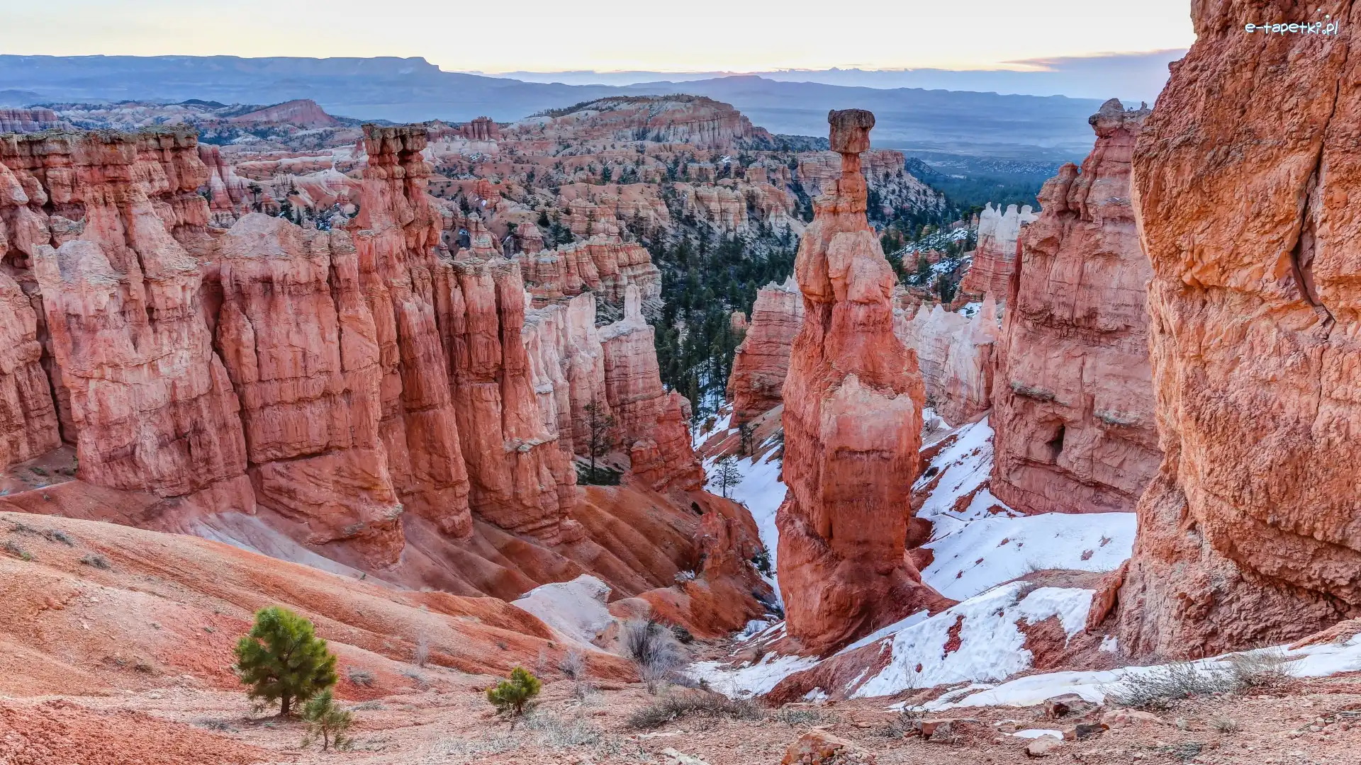 Utah, Drzewa, Park Narodowy Bryce Canyon, Stany Zjednoczone, Skały, Góry